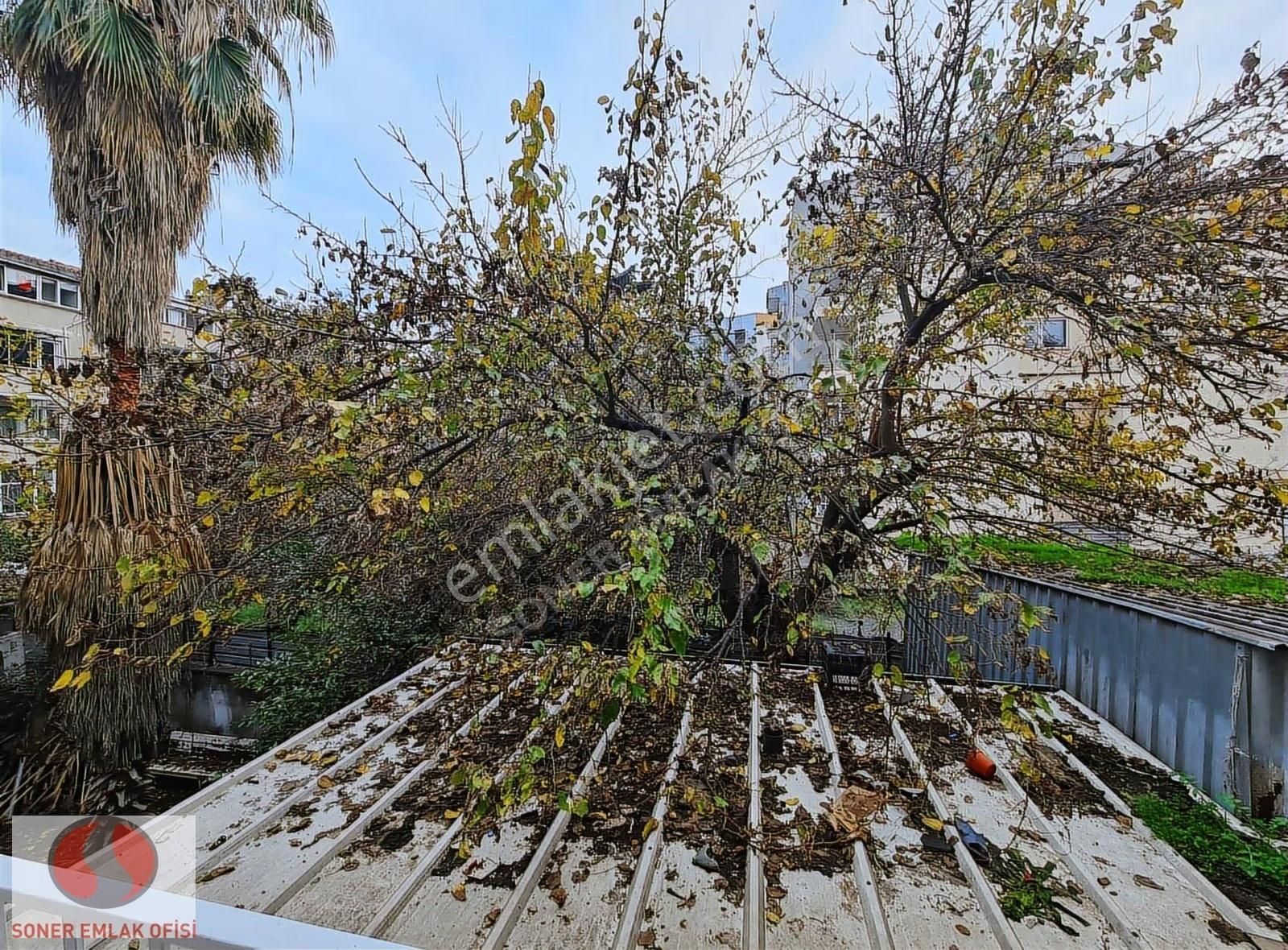 Kadıköy Altıyol Çilek Sokakta 2.5+1 Kiralık 1 Kat Bakımlı Daire - Görsel 19