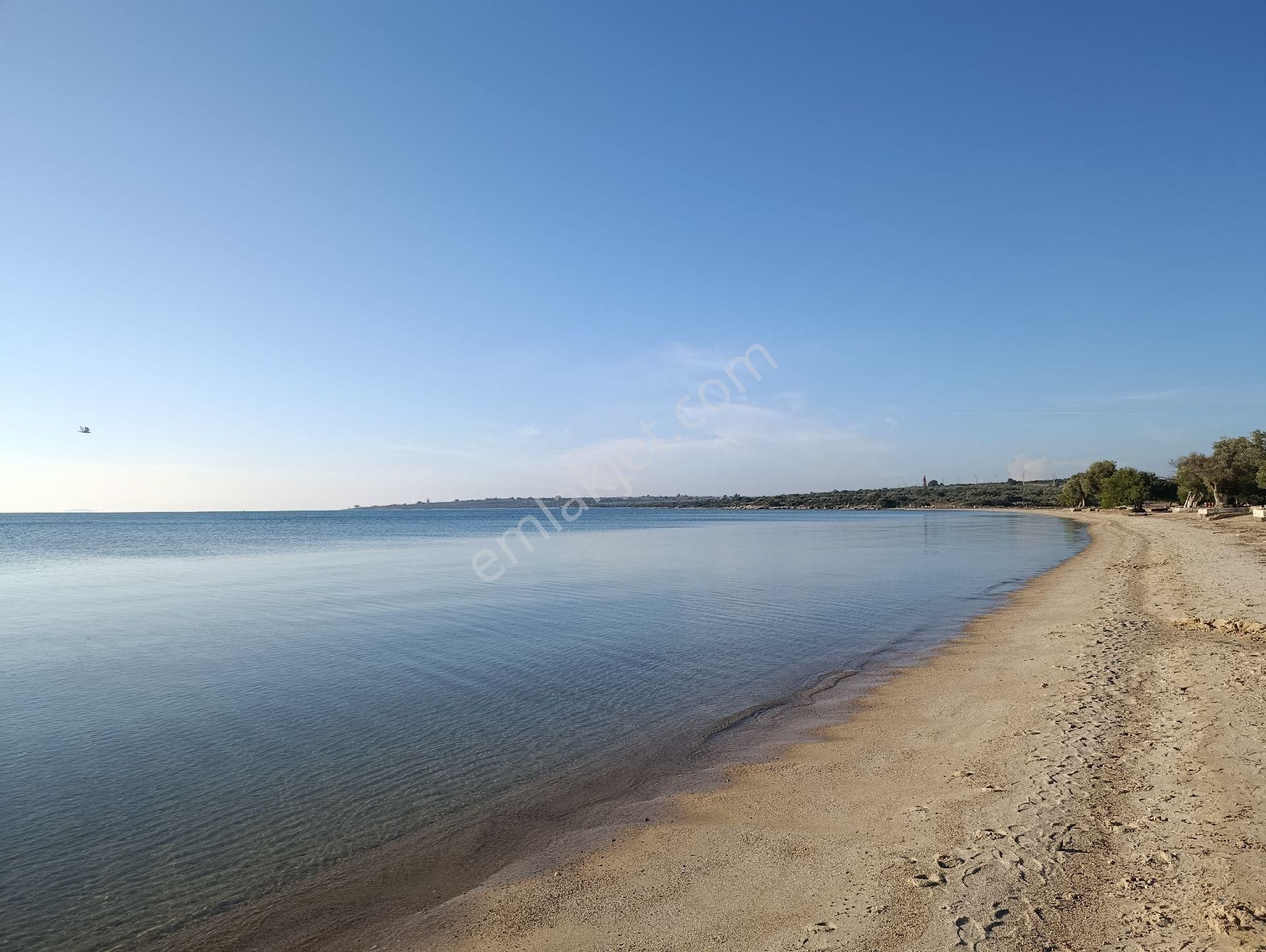 Akçinler Emlaktan Aydın Didim Akyeniköy (seyrantepe) De Satılık Villa Arsası - Görsel 4