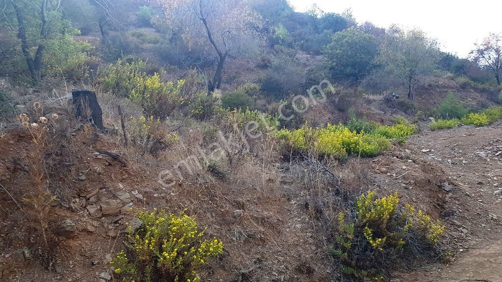 Mersin Anamur Anıtlı Yatırıma Uygun Satılık Tarla - Görsel 2