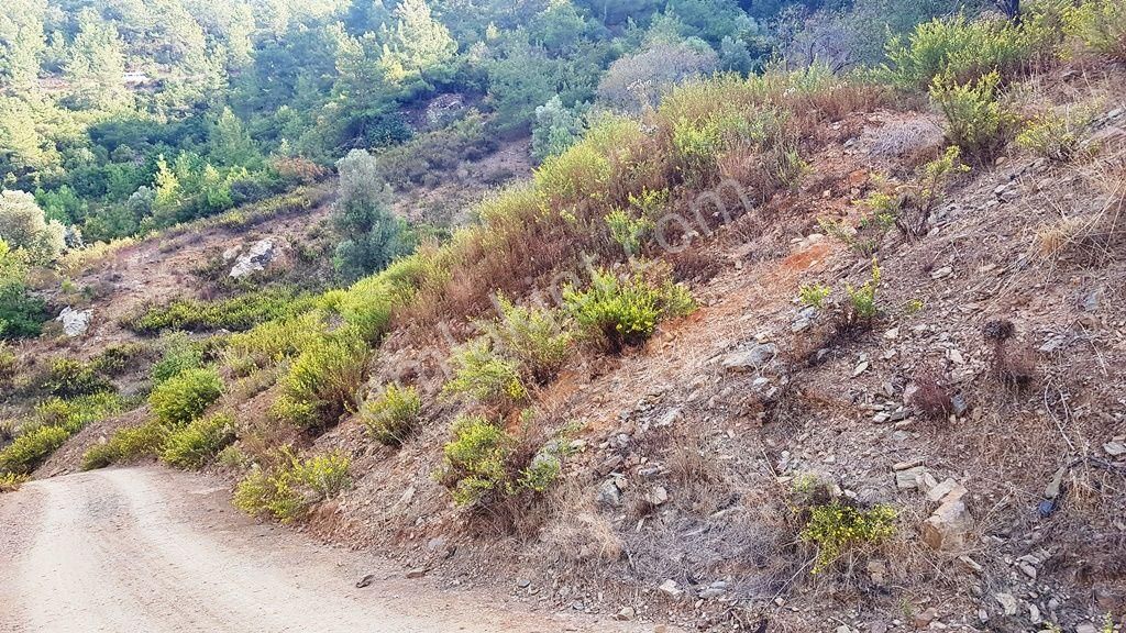 Mersin Anamur Anıtlı Yatırıma Uygun Satılık Tarla - Görsel 4