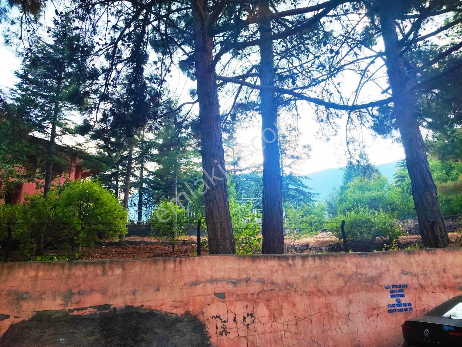 Kar Emlaktan Akçatekir Esentepede 700 M2 İmarlı İfrazlı Doğa Manzaralı Satılık Arsa - Görsel 14