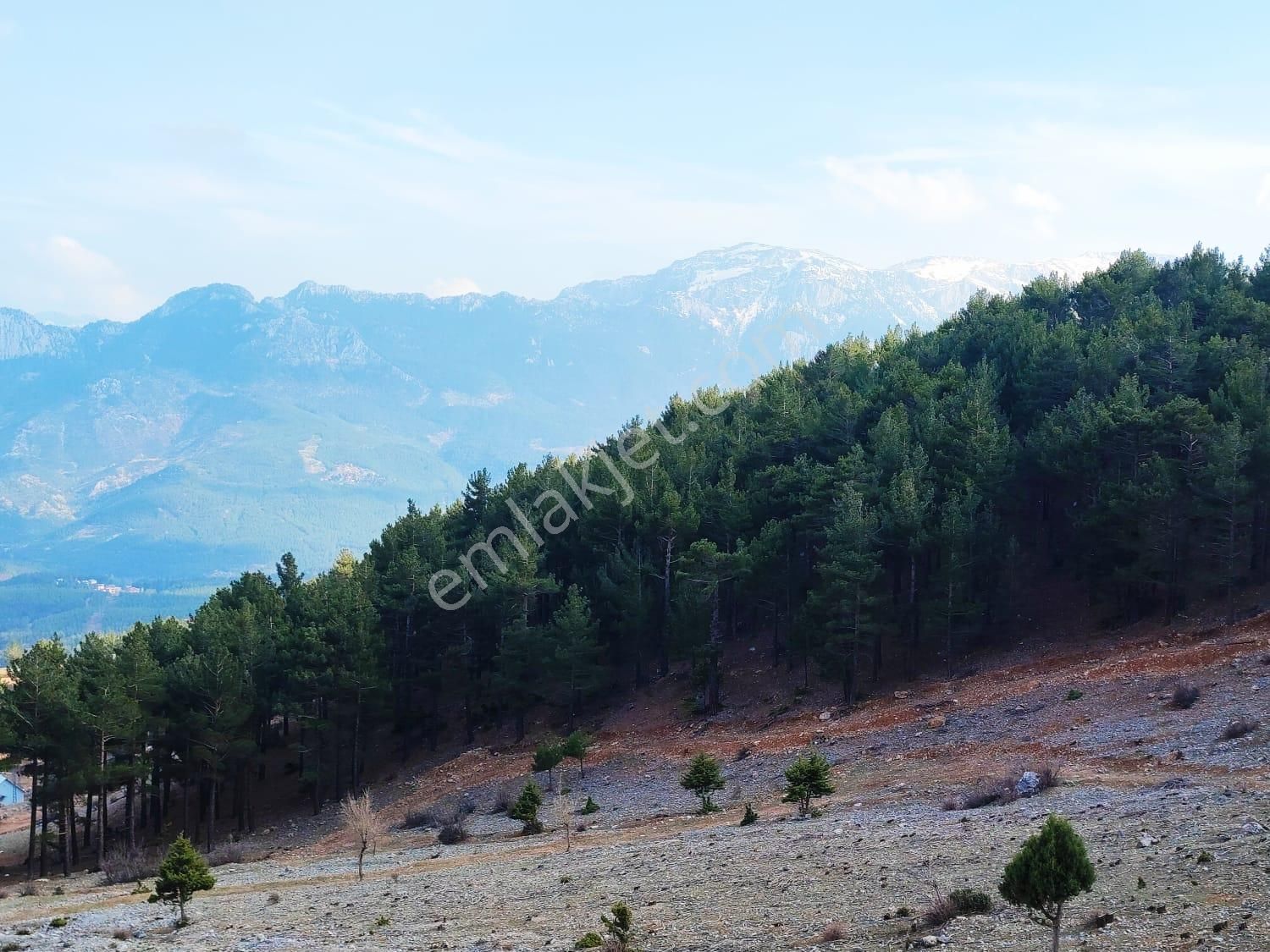 Kar Emlaktan Yenikonacık Bozkırlı Mevkiinde 400 M2 İmarlı İfrazlı Satılık Arsa - Görsel 18