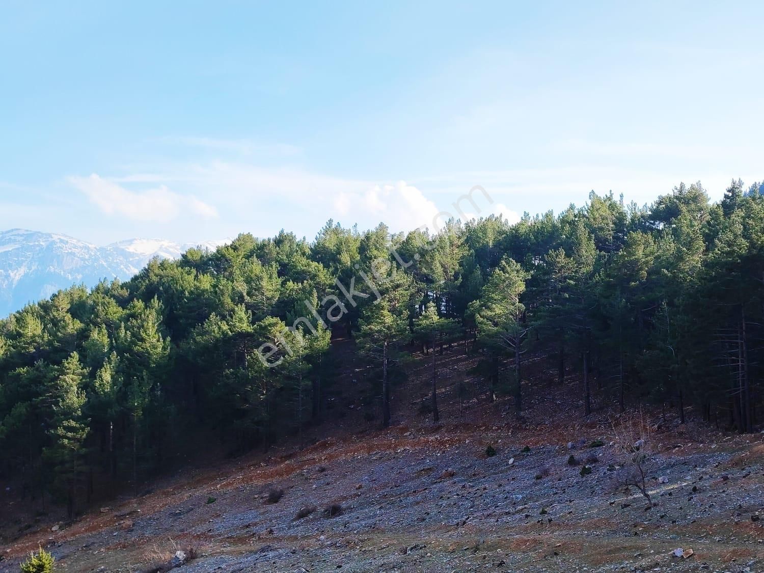 Kar Emlaktan Yenikonacık Bozkırlı Mevkiinde 400 M2 İmarlı İfrazlı Satılık Arsa - Görsel 21