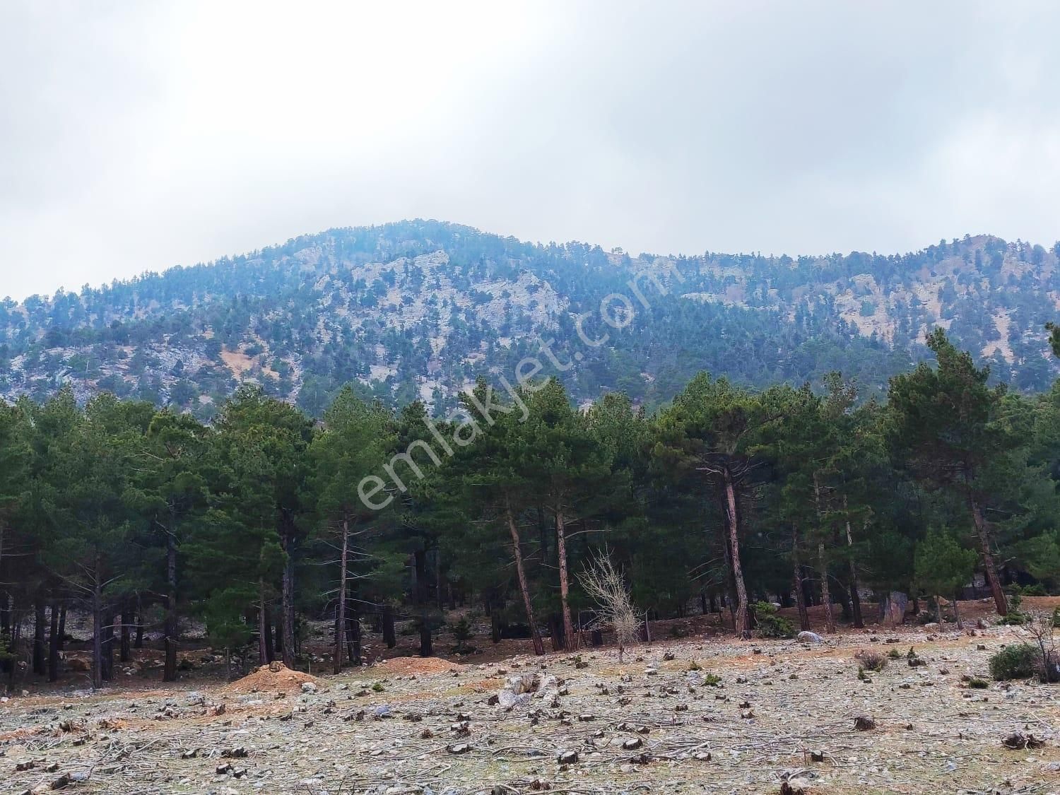 Kar Emlaktan Yenikonacık Bozkırlı Mevkiinde 400 M2 İmarlı İfrazlı Satılık Arsa - Görsel 8