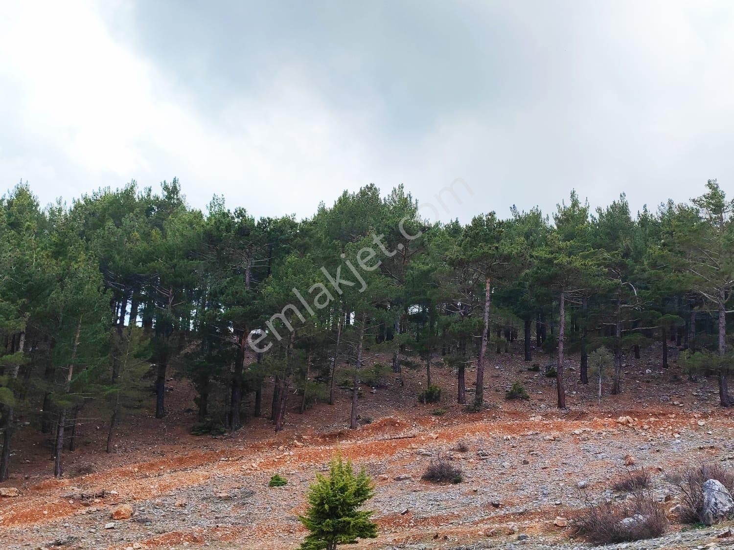 Kar Emlaktan Yenikonacık Bozkırlı Mevkiinde 400 M2 İmarlı İfrazlı Satılık Arsa - Görsel 31