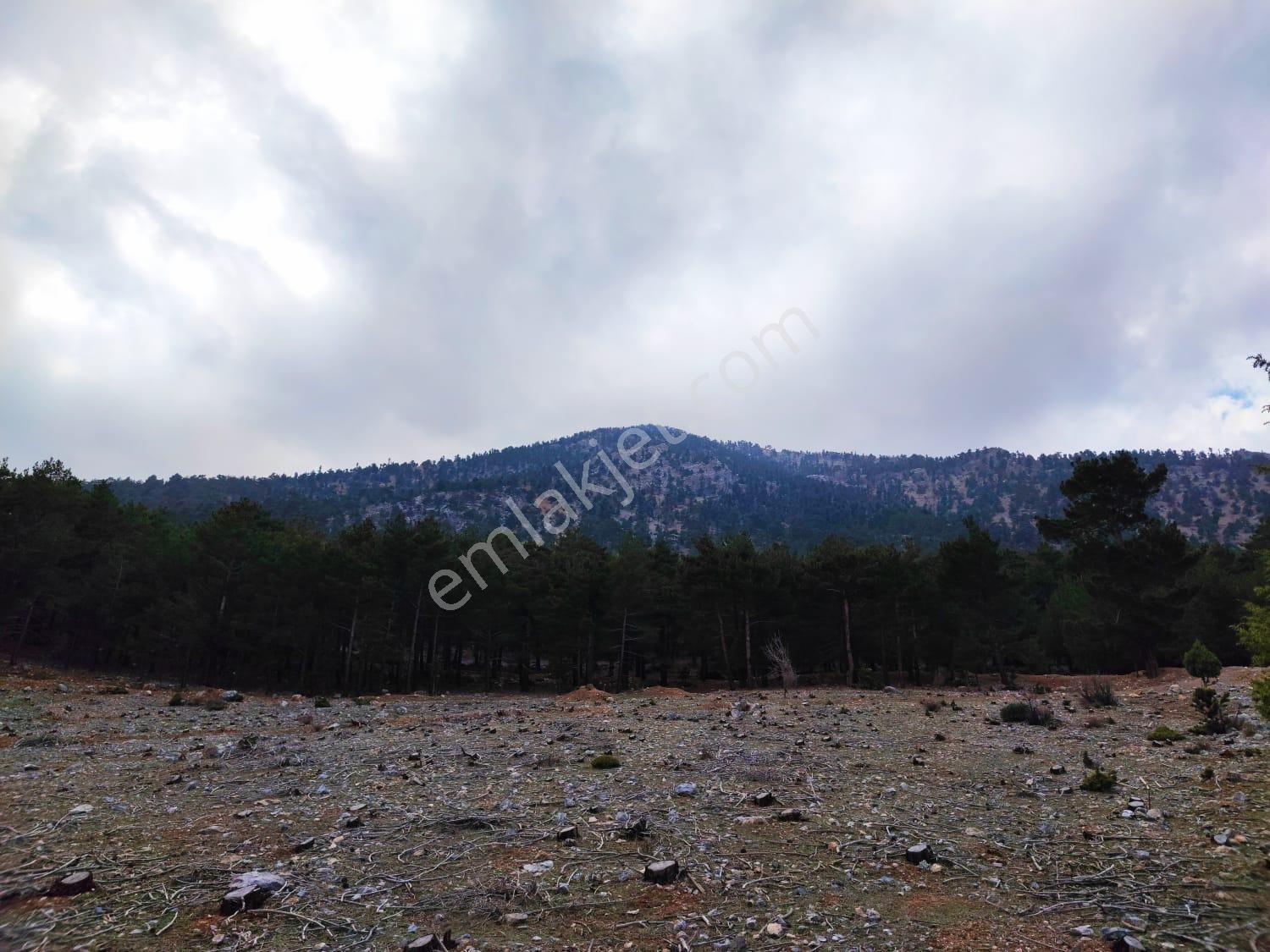 Kar Emlaktan Yenikonacık Bozkırlı Mevkiinde 400 M2 İmarlı İfrazlı Satılık Arsa - Görsel 30