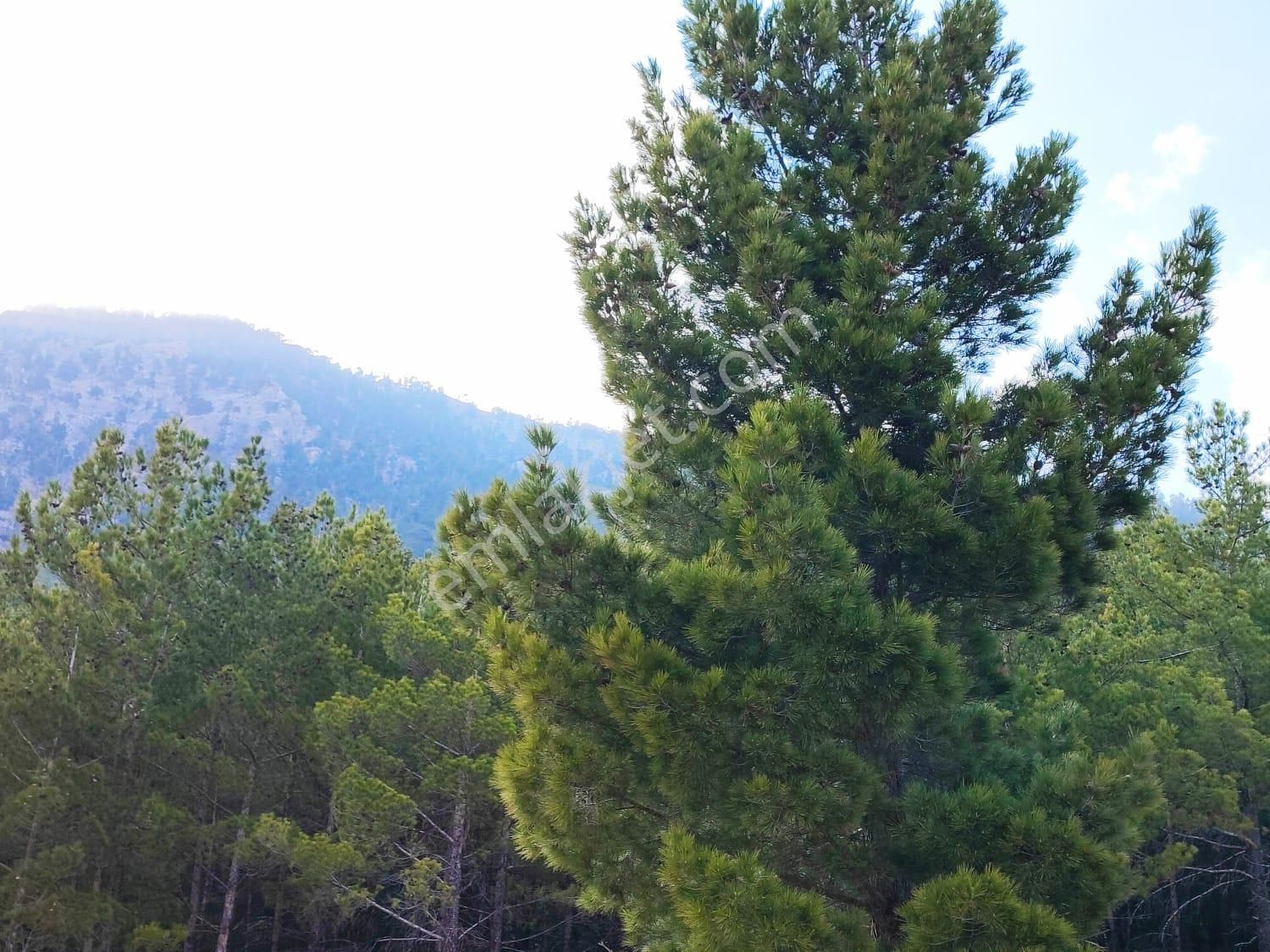 Kar Emlaktan Yenikonacık Bozkırlı Mevkiinde 400 M2 İmarlı İfrazlı Satılık Arsa - Görsel 17