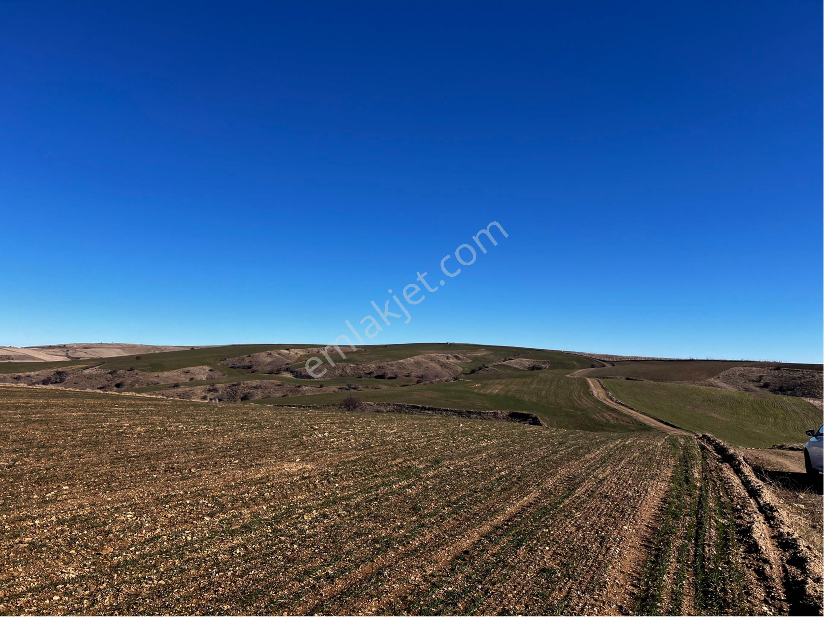 Akyurt Uzunlar’da 7250m2 Tapulu Akyurt Millet Bahçesine 6 Km Mesafede Satılık Tarla - Görsel 13