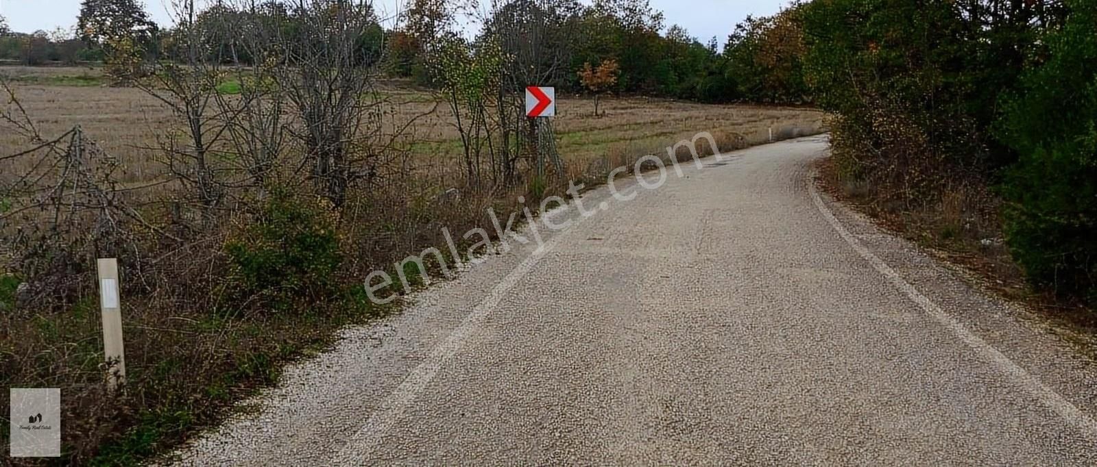 Yenişehir Akbıyık Mah. İnegöl Dönmez Mevkinde Tarla - Görsel 4