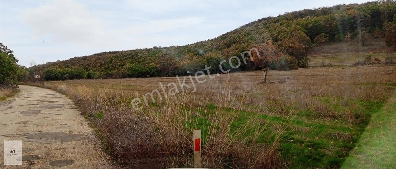 Yenişehir Akbıyık Mah. İnegöl Dönmez Mevkinde Tarla - Görsel 7