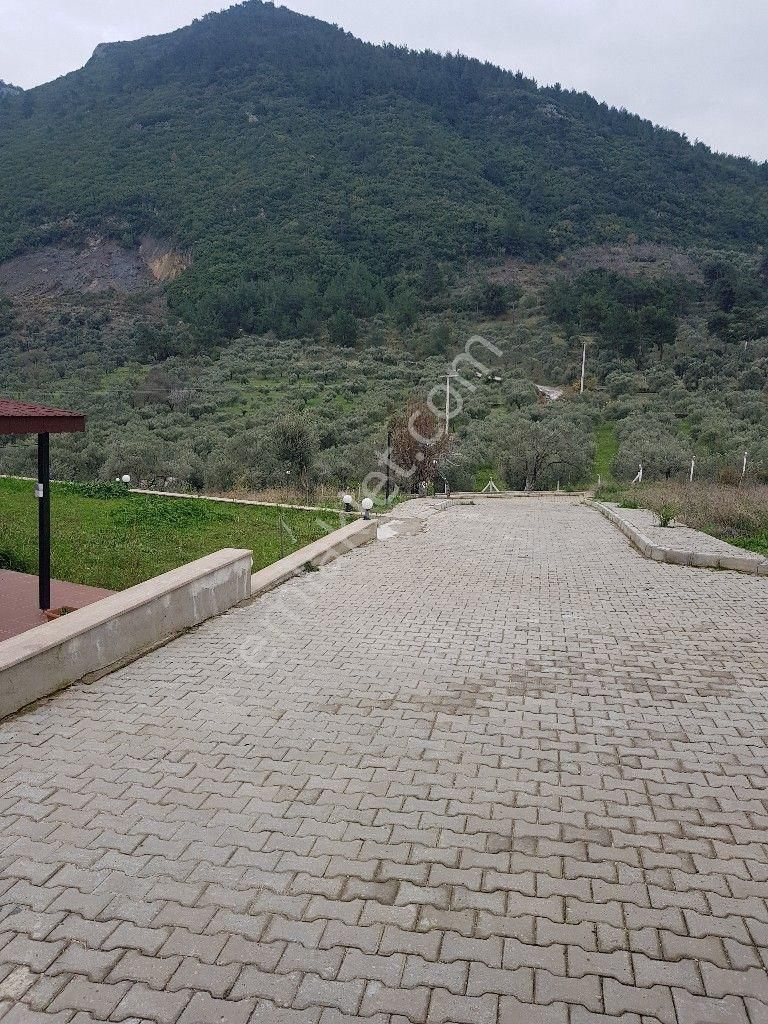 Egenin İncisi Kirazlıda Ticari Ruhsatıda Olan Muhteşem Çiftlik - Görsel 16