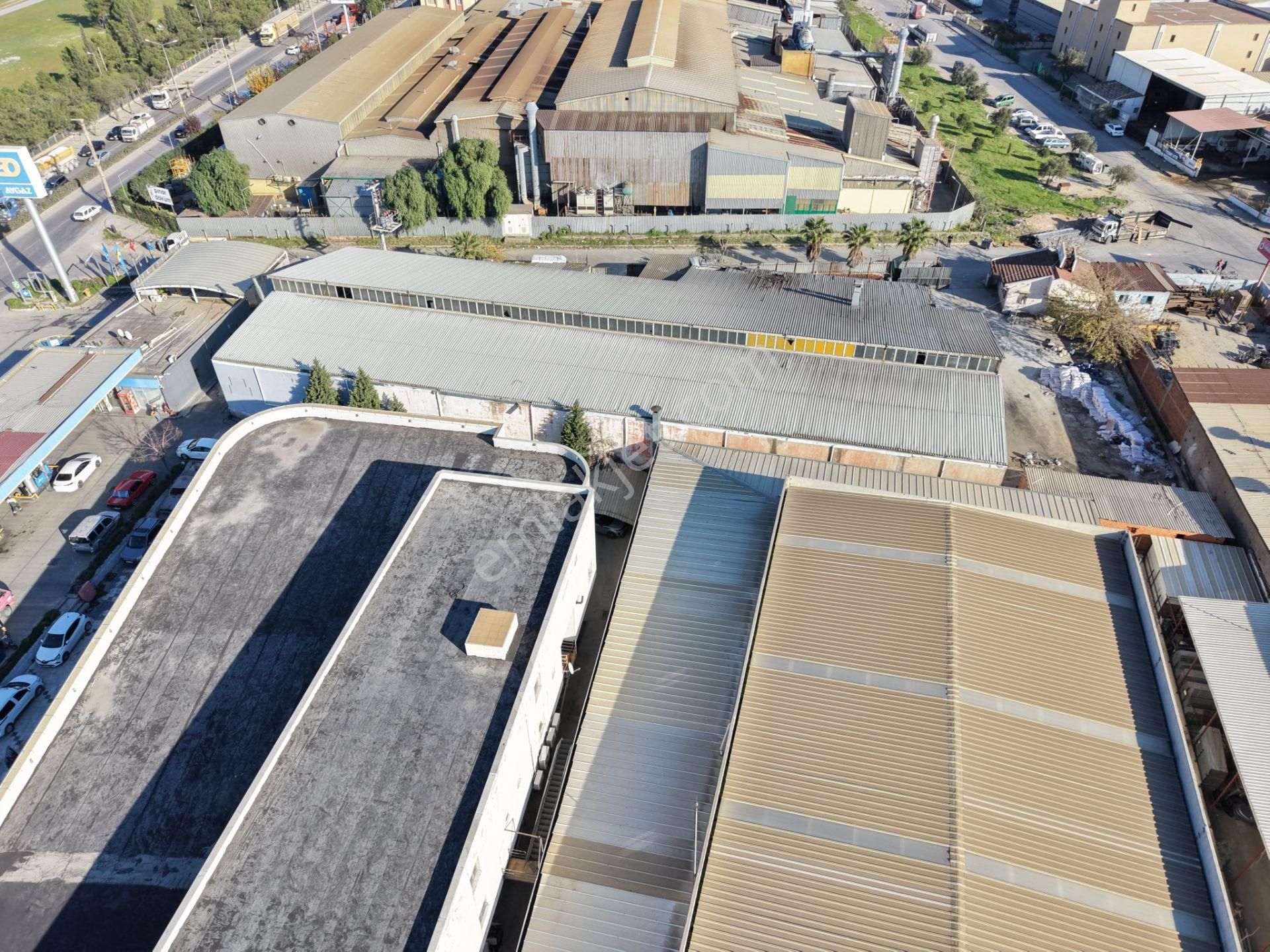 Bornova Pınarbaşı'nda Satılık 2683 M² Depo/antrepo - Görsel 5