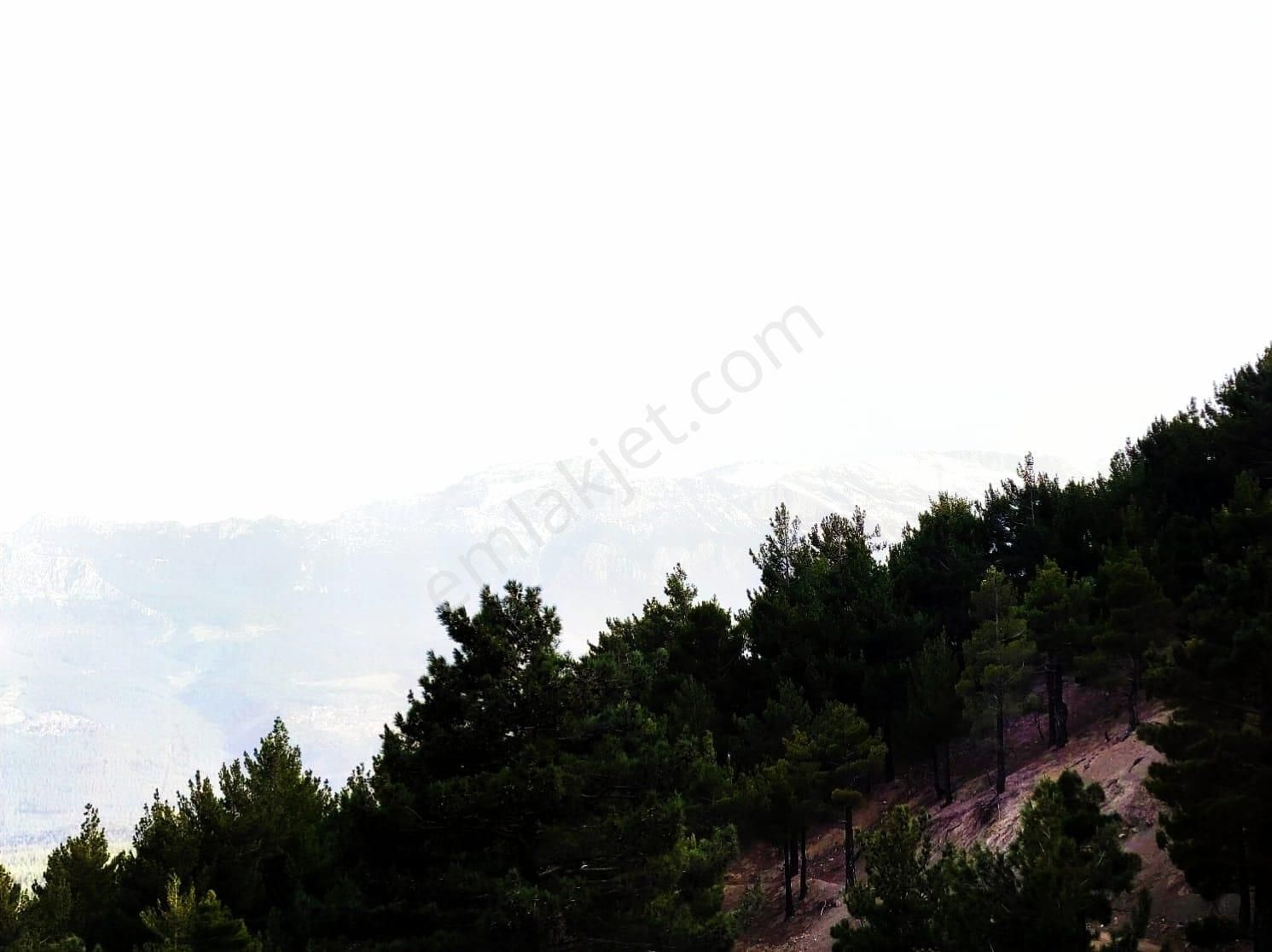 Kar Emlaktan Yenikonacık Bozkırlı Mevkiinde 400 M2 İmarlı İfrazlı Satılık Arsa - Görsel 2