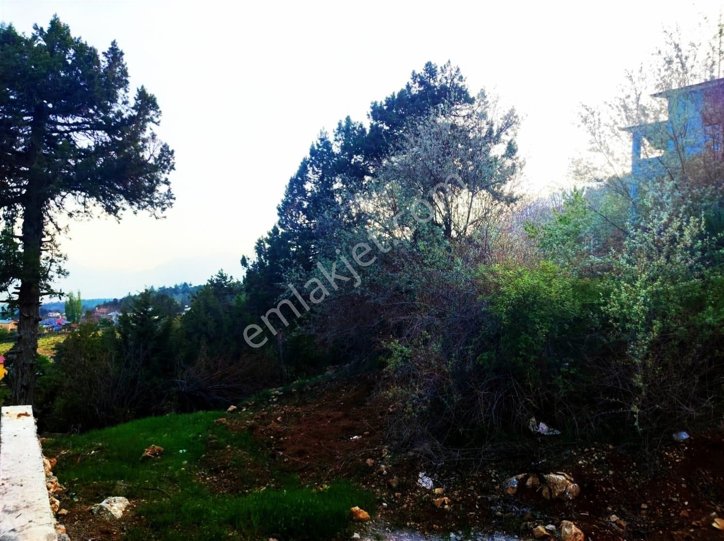 Kar Emlaktan Fındıklı Yaylasında 575 M2 İmarlı İfrazlı Satılık Arsa - Görsel 18