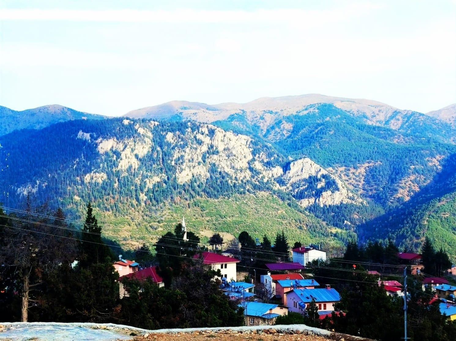 Kar Emlaktan Fındıklı Yaylasında 575 M2 İmarlı İfrazlı Satılık Arsa - Görsel 26