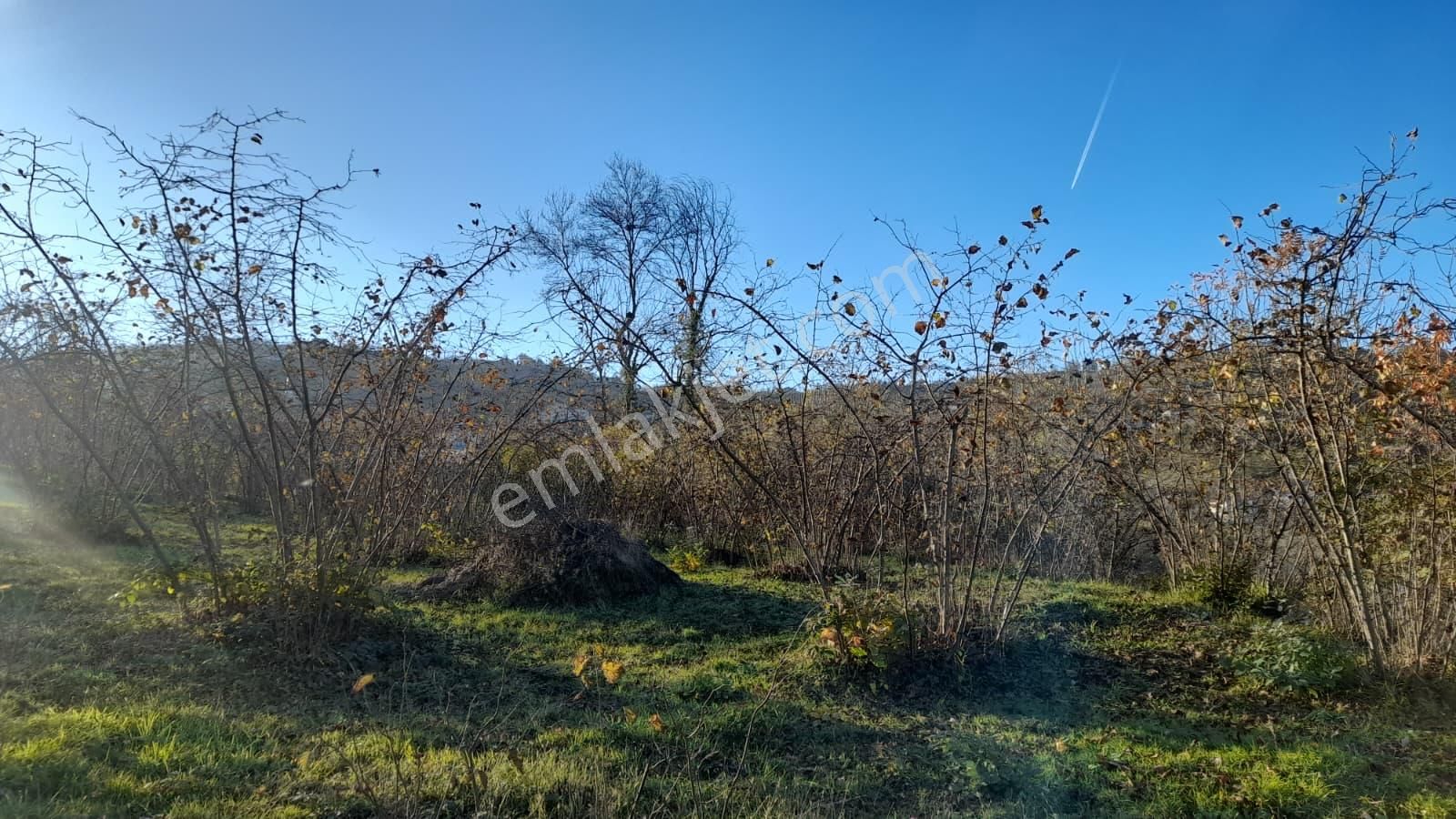 Gündoğdu Mahallesinde Satılık Arsa 3972 M2 - Görsel 17