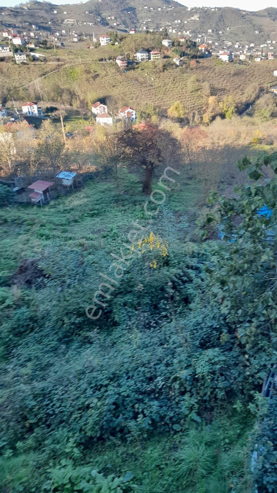 Gündoğdu Mahallesinde Satılık Arsa 3972 M2