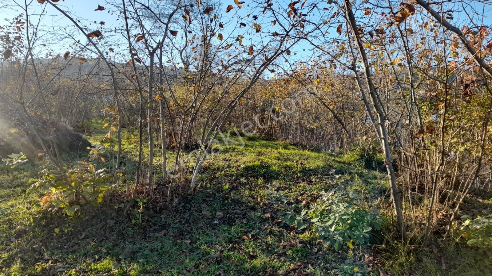 Gündoğdu Mahallesinde Satılık Arsa 3972 M2 - Görsel 13