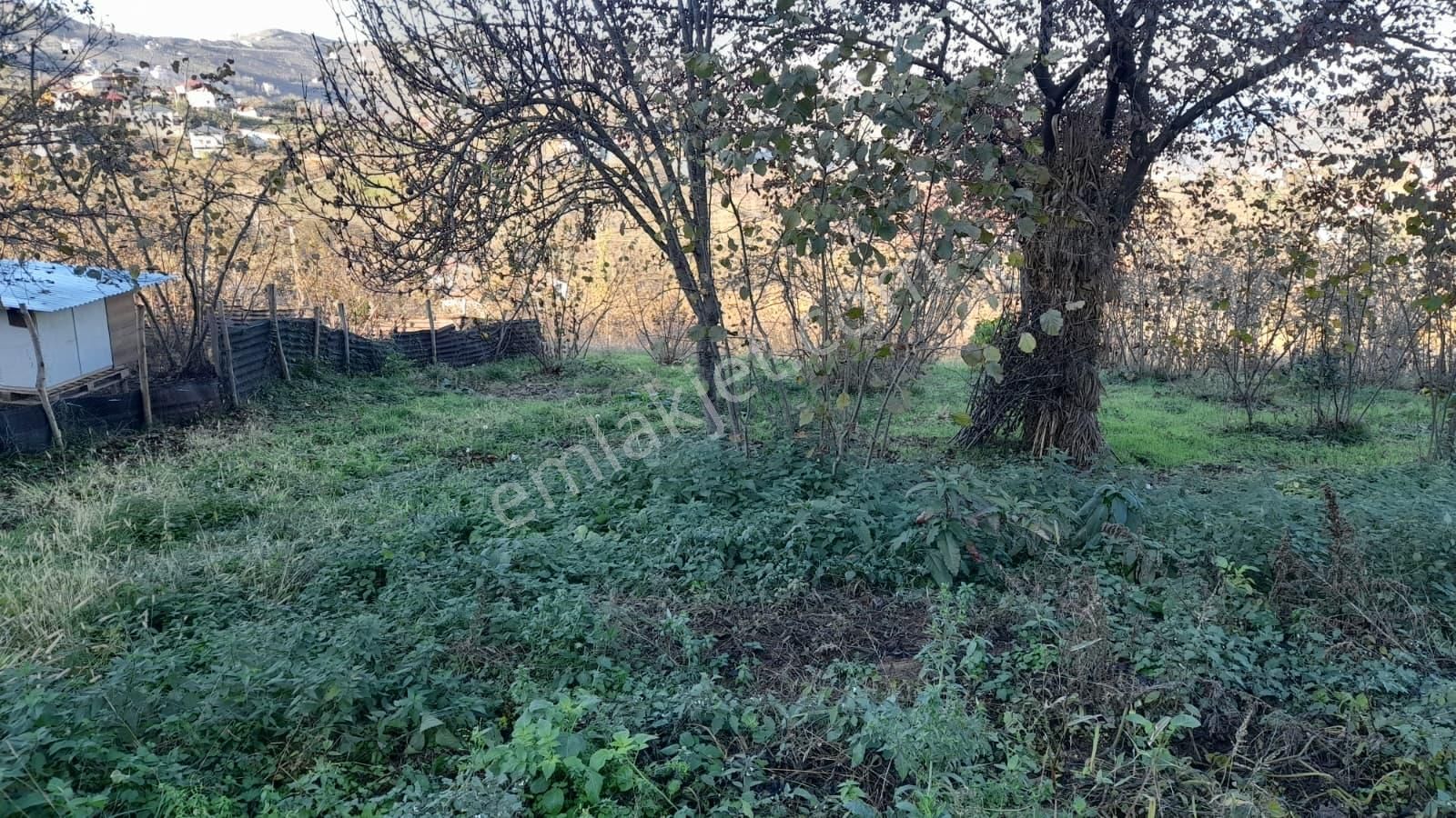 Gündoğdu Mahallesinde Satılık Arsa 3972 M2 - Görsel 21