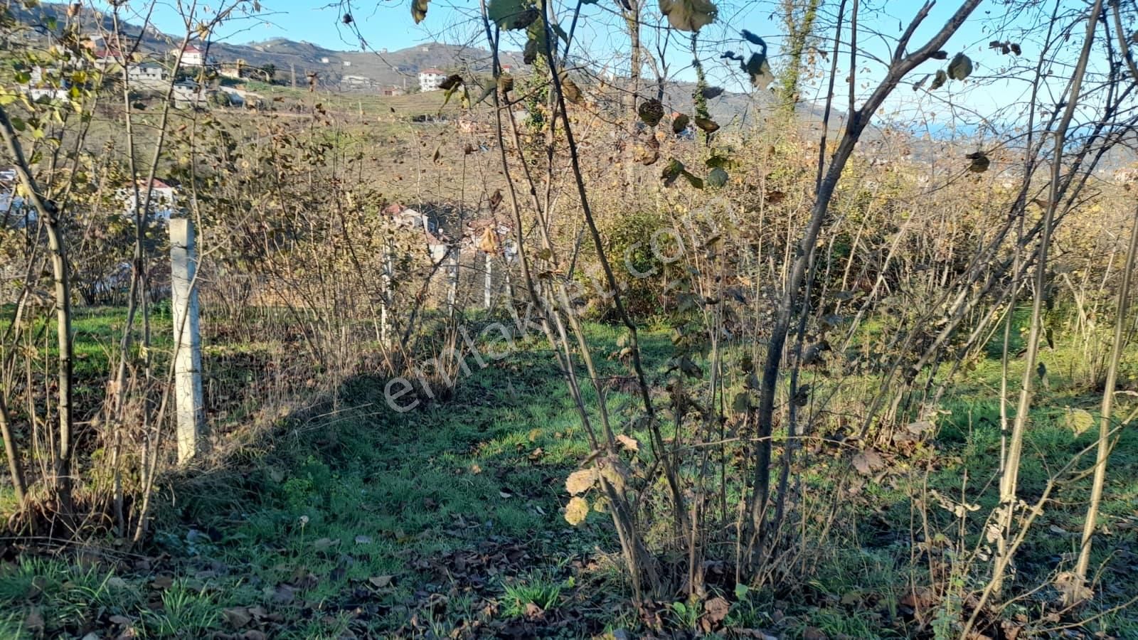 Gündoğdu Mahallesinde Satılık Arsa 3972 M2 - Görsel 20