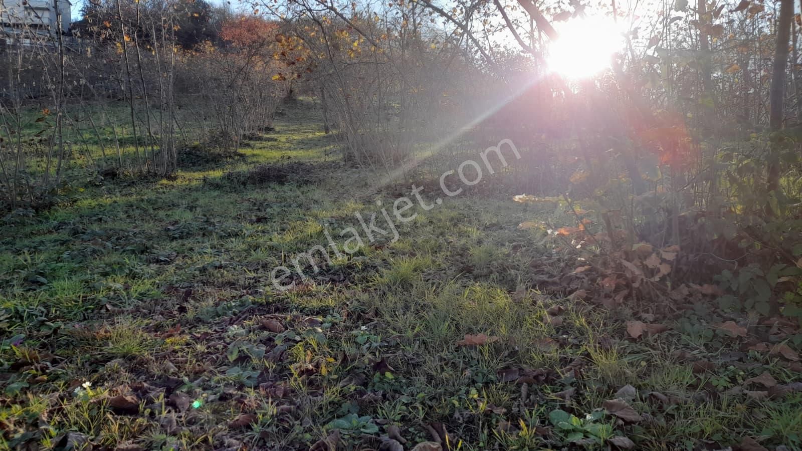 Gündoğdu Mahallesinde Satılık Arsa 3972 M2 - Görsel 16