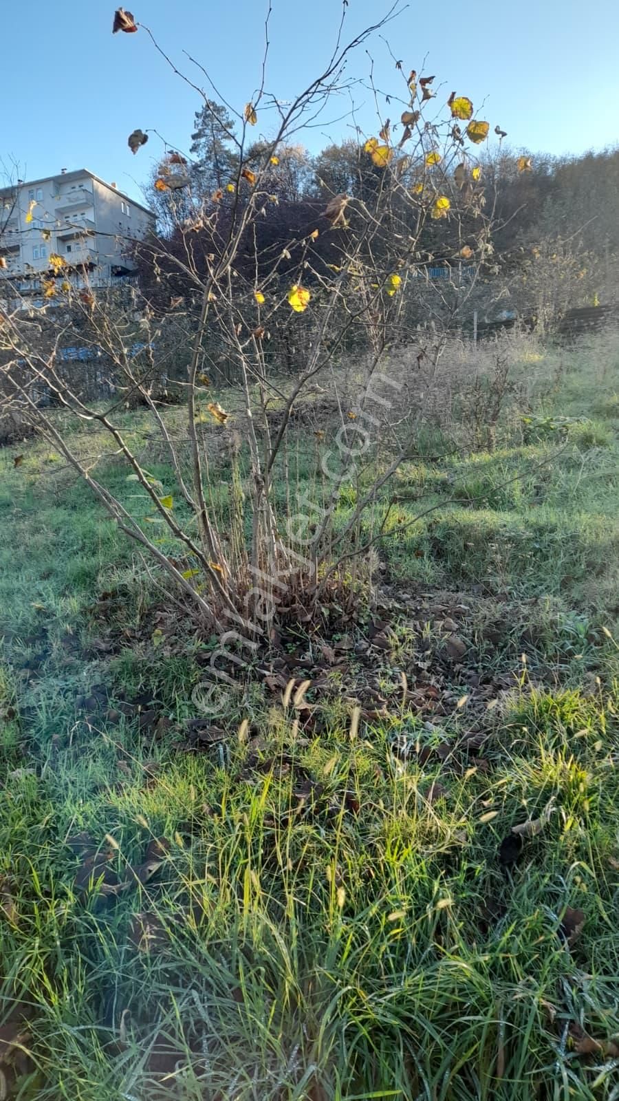 Gündoğdu Mahallesinde Satılık Arsa 3972 M2 - Görsel 11