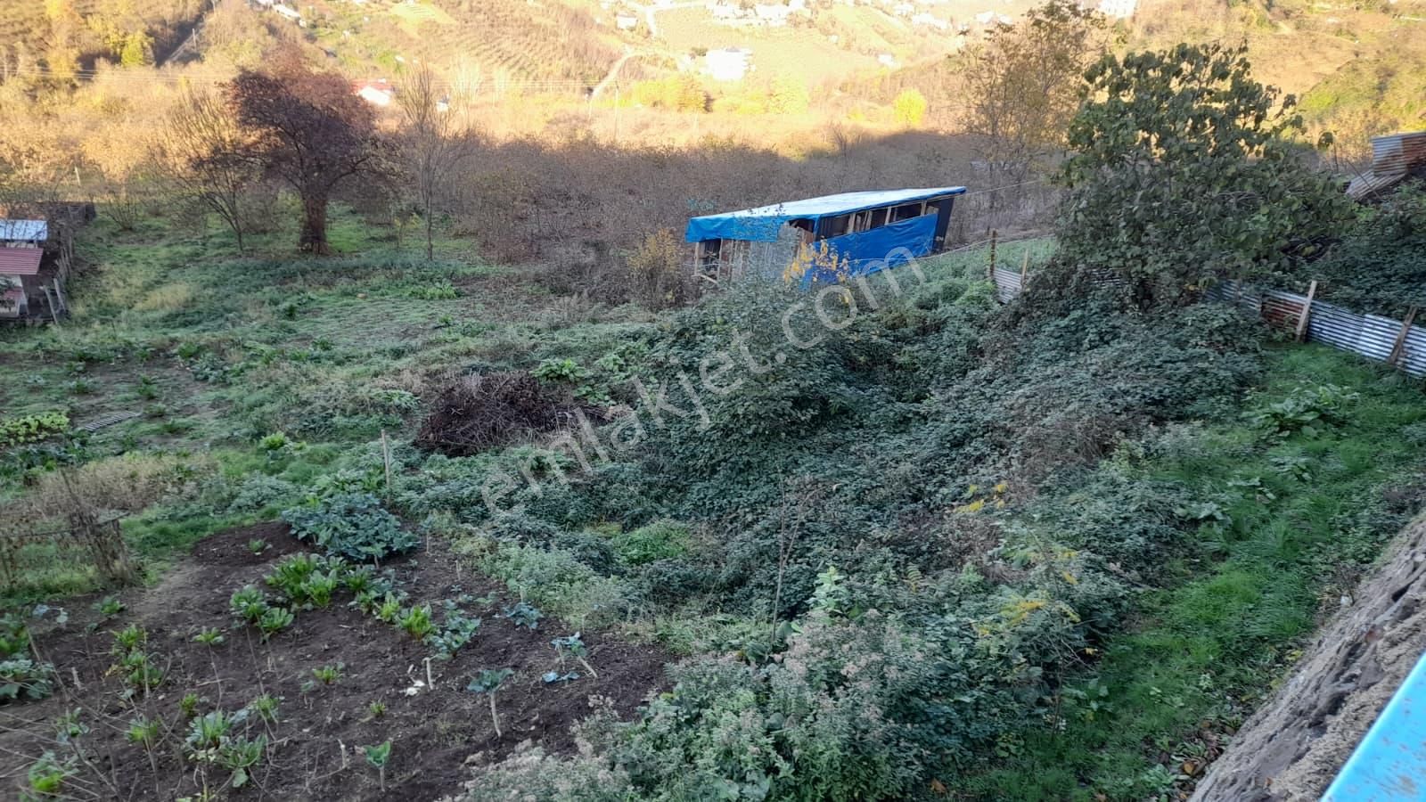 Gündoğdu Mahallesinde Satılık Arsa 3972 M2 - Görsel 6