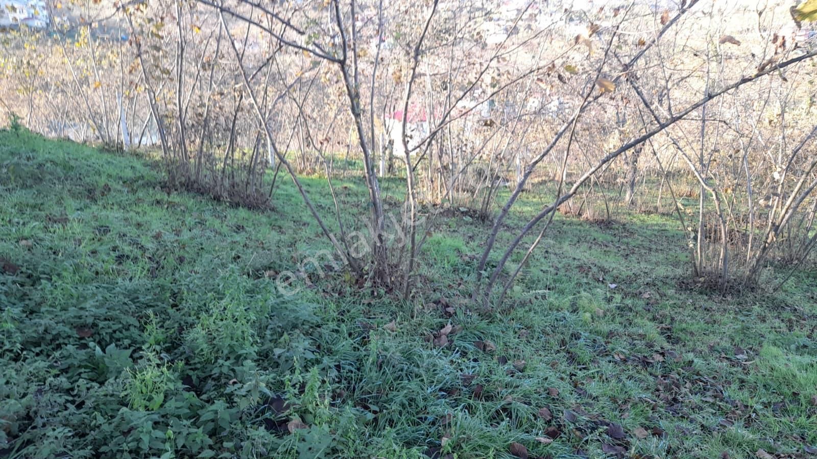 Gündoğdu Mahallesinde Satılık Arsa 3972 M2 - Görsel 19