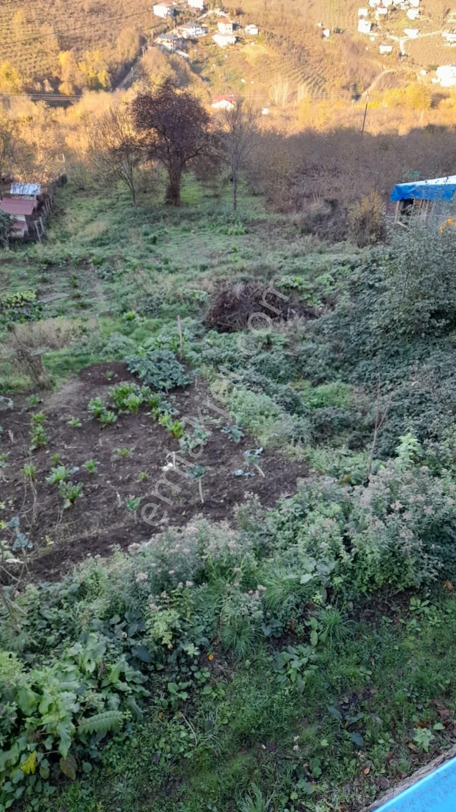 Gündoğdu Mahallesinde Satılık Arsa 3972 M2 - Görsel 27