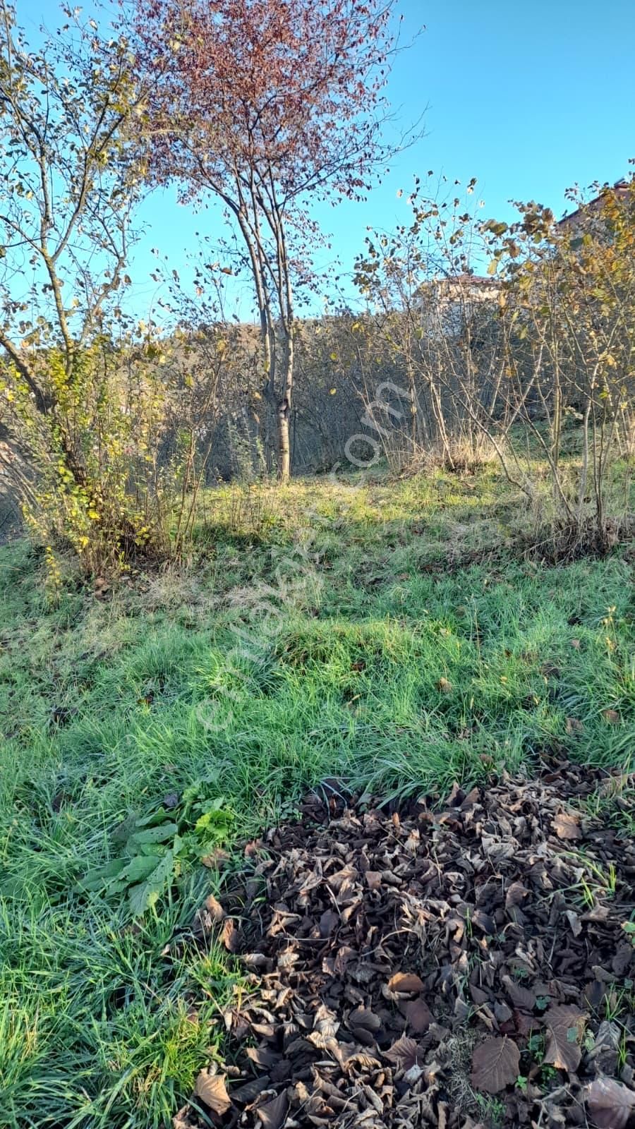 Gündoğdu Mahallesinde Satılık Arsa 3972 M2 - Görsel 10