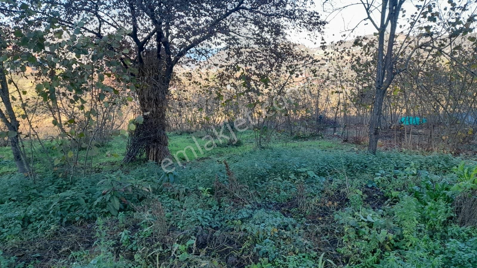 Gündoğdu Mahallesinde Satılık Arsa 3972 M2 - Görsel 22