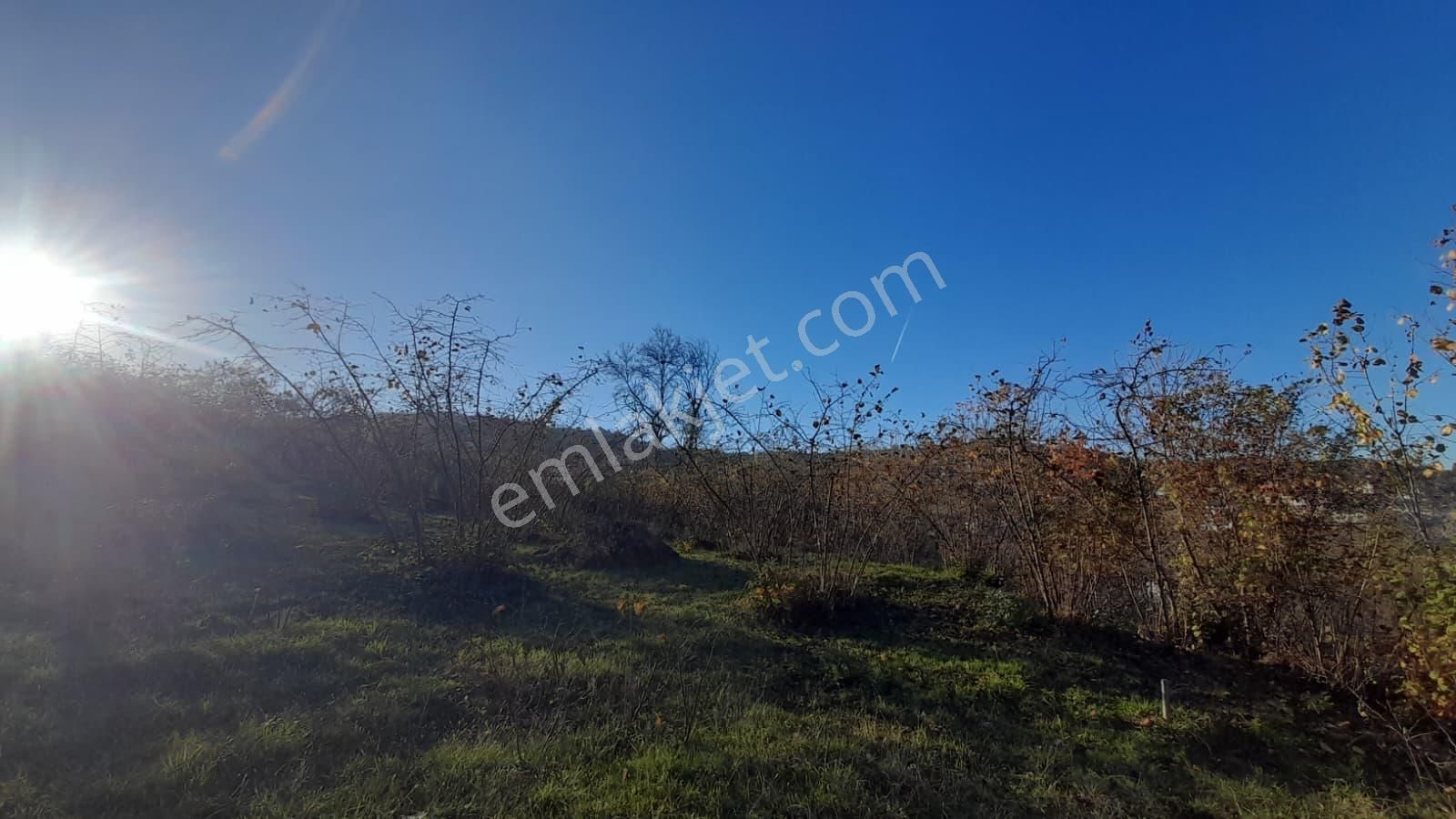 Gündoğdu Mahallesinde Satılık Arsa 3972 M2 - Görsel 15