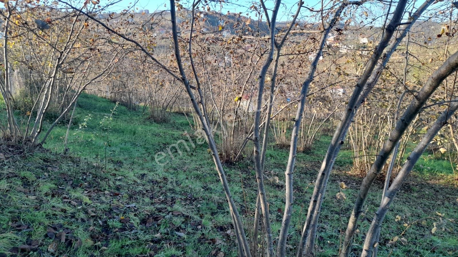 Gündoğdu Mahallesinde Satılık Arsa 3972 M2 - Görsel 12