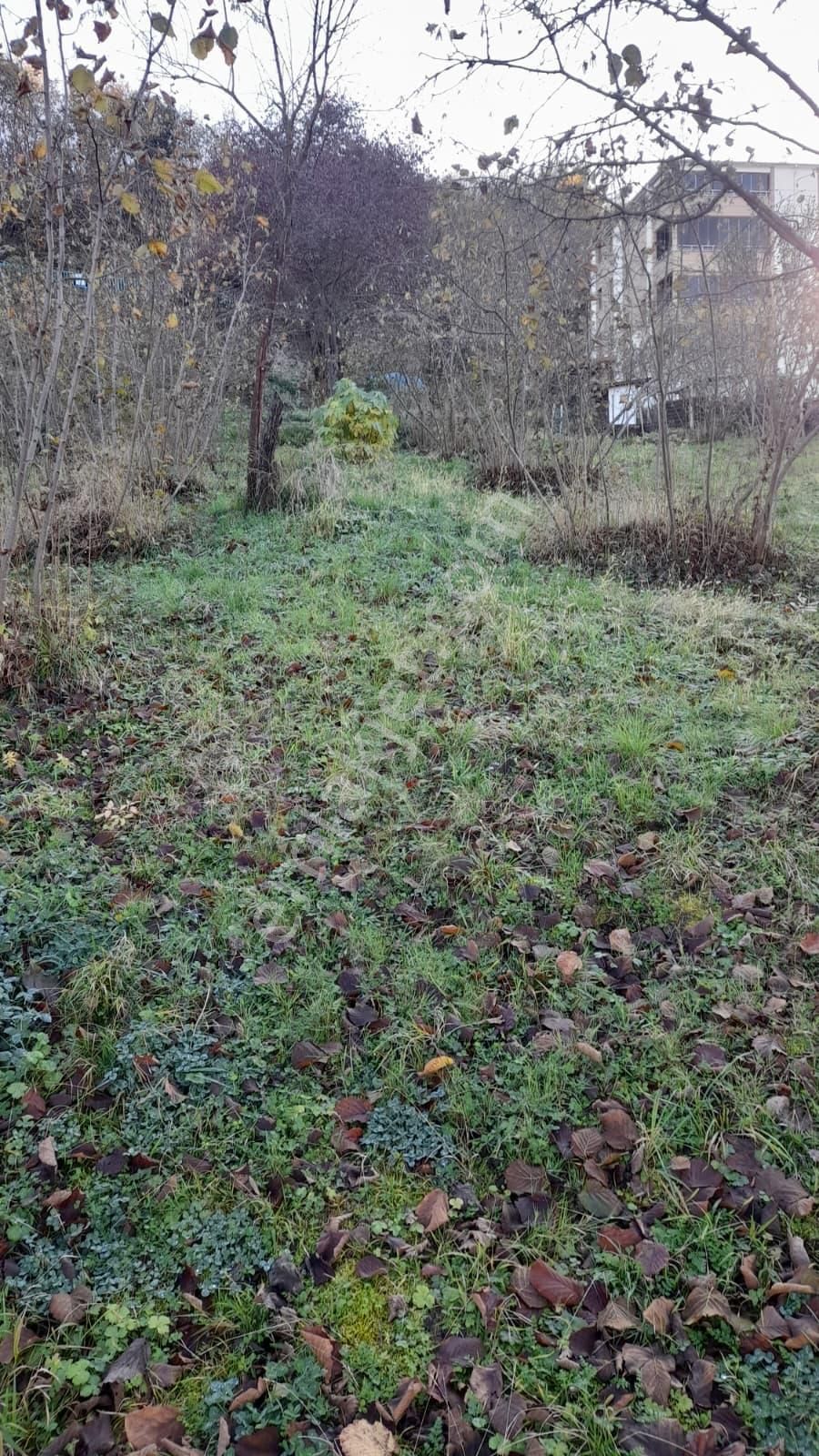 Gündoğdu Mahallesinde Satılık Arsa 3972 M2 - Görsel 14