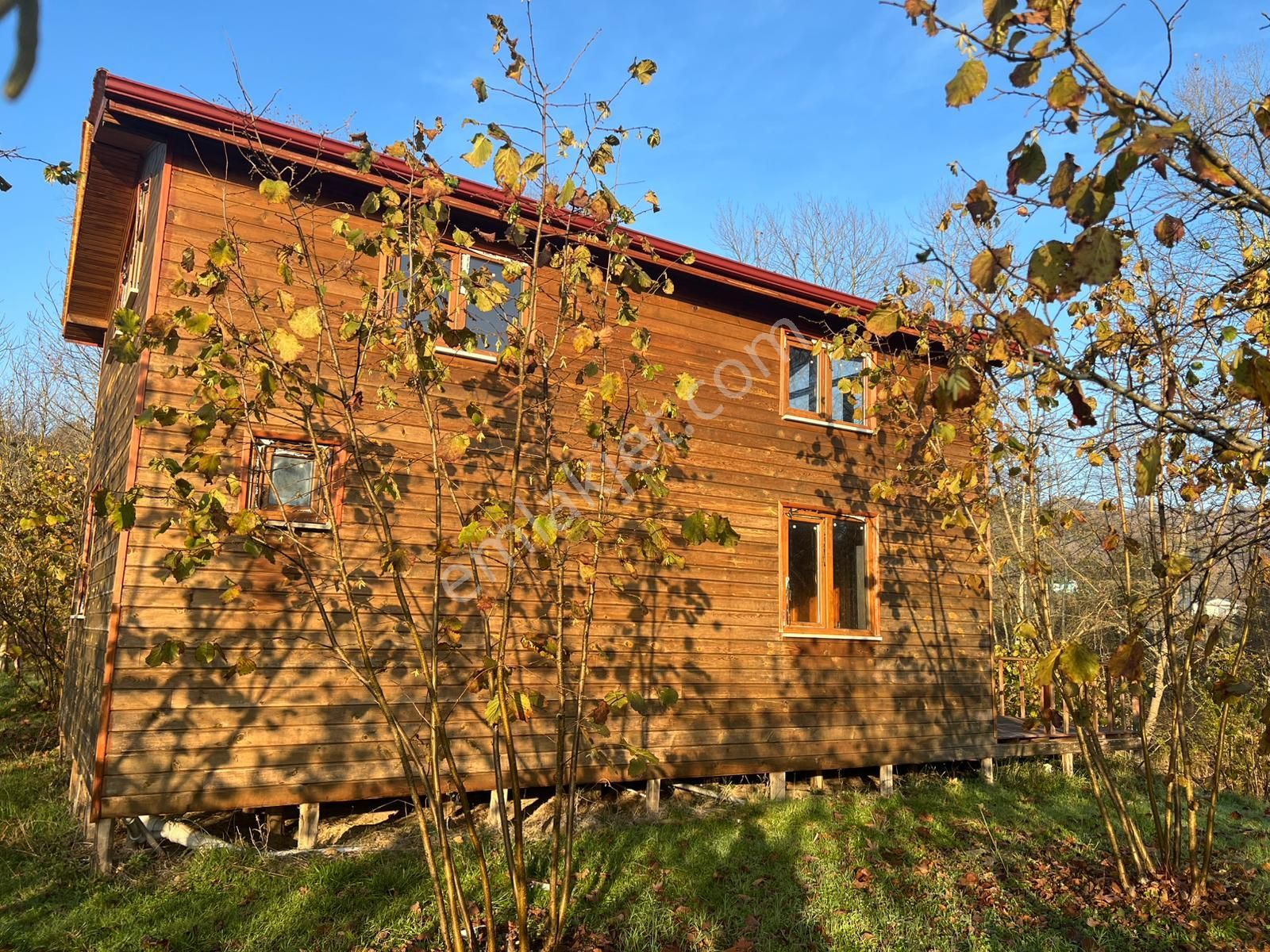 Köy İçi Yollu Fındık Bahçesi İmar Önünde-son Fiyat