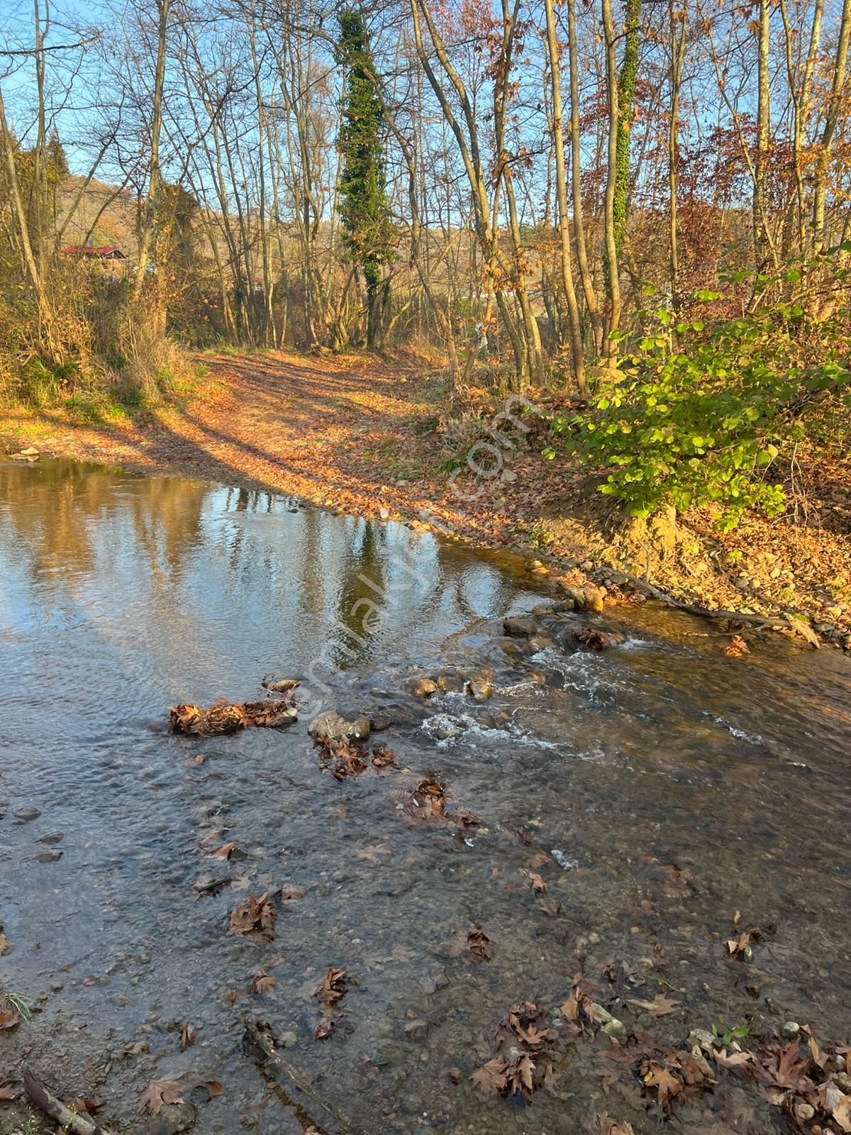 Köy İçi Yollu Fındık Bahçesi İmar Önünde-son Fiyat - Görsel 9
