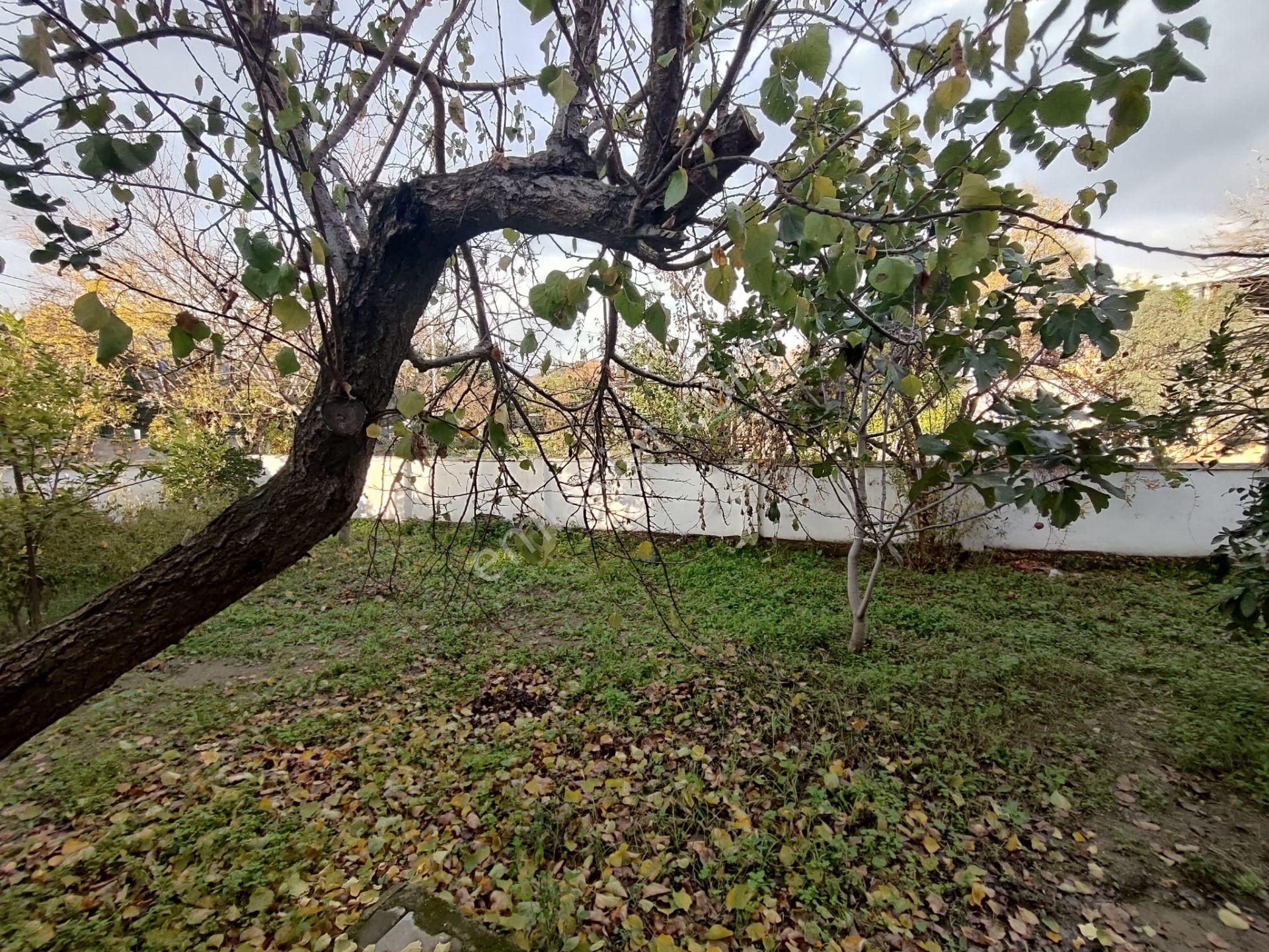Aydın Koçarlı Çakırbeyli 2 Katlı Müstakil Ev - Görsel 10