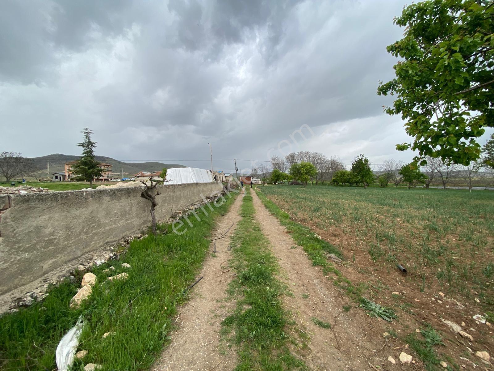 🌿 Elazığ Koruk Köyünde Yatırımlık & Üretime Uygun Tarla 🌿 - Görsel 7
