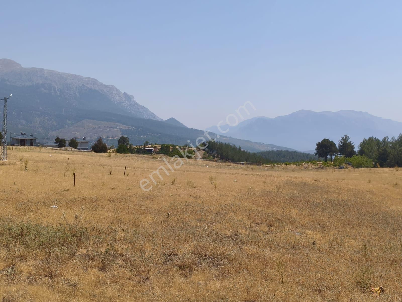 Kar Emlaktan Alpu Yaylasında 480 M2 İmarlı İfrazlı Satılık Arsa - Görsel 29