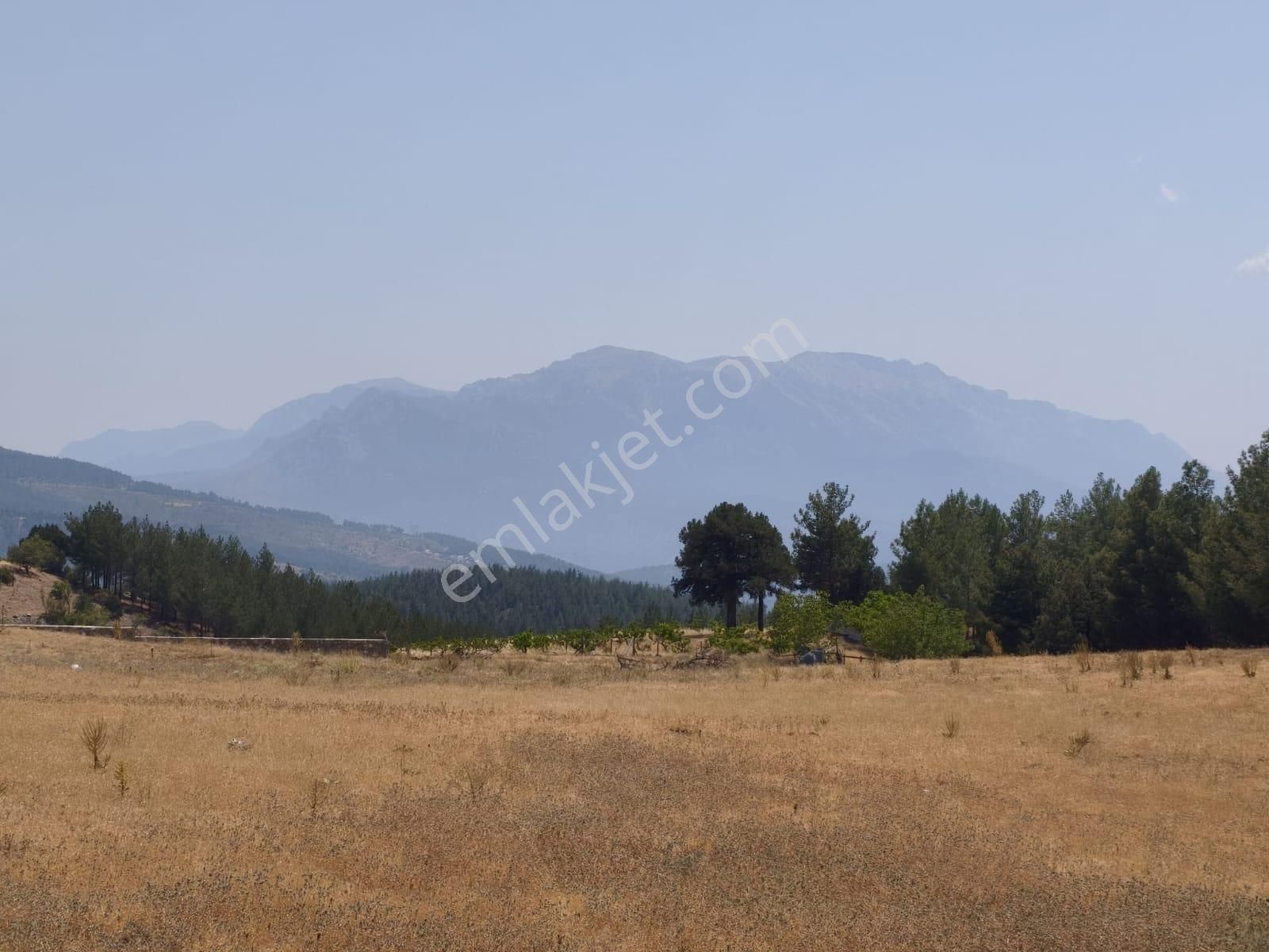 Kar Emlaktan Alpu Yaylasında 480 M2 İmarlı İfrazlı Satılık Arsa - Görsel 22