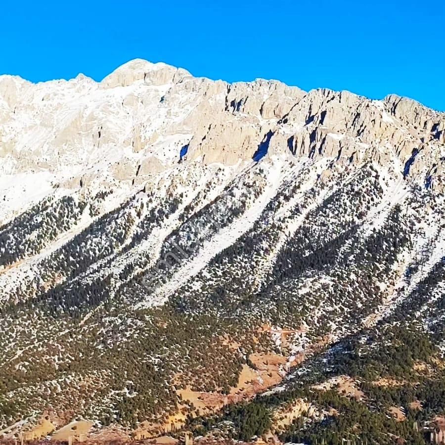 Kar Emlaktan Kamışlı Yaylasında 500 M2 İmarlı İfrazlı Satılık Arsa - Görsel 11