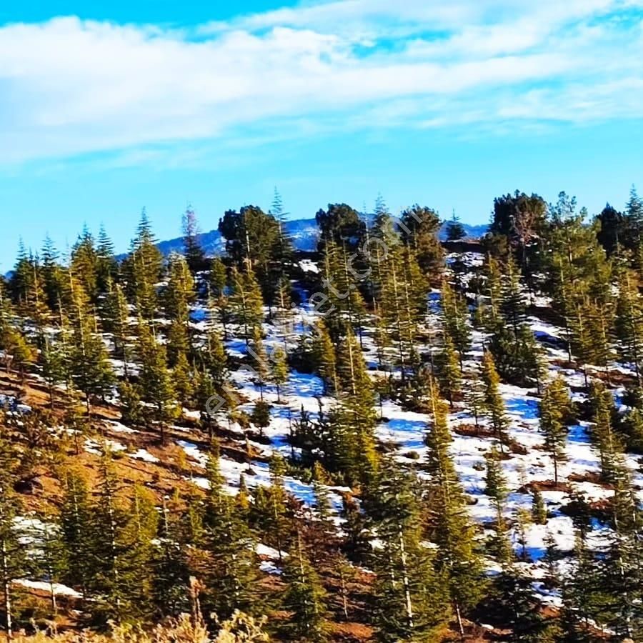 Kar Emlaktan Kamışlı Yaylasında 500 M2 İmarlı İfrazlı Satılık Arsa - Görsel 23