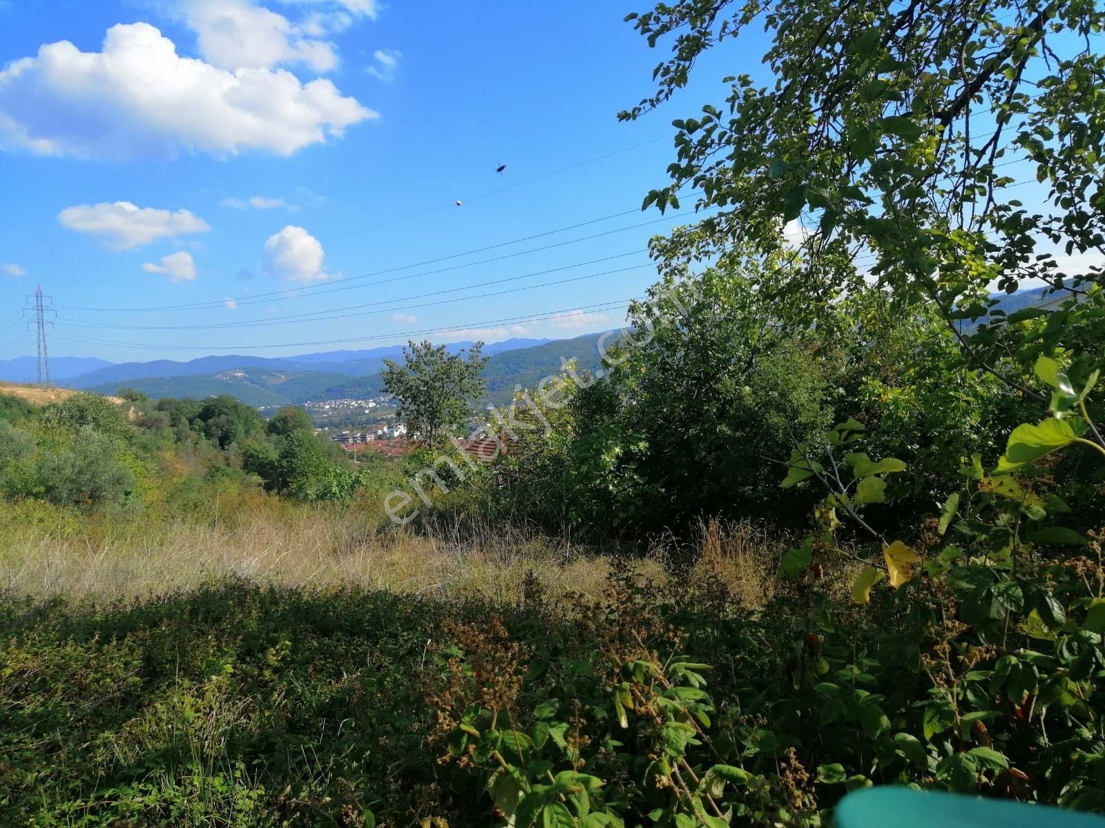 Şirinköy'de Satılık Arazi - Görsel 10