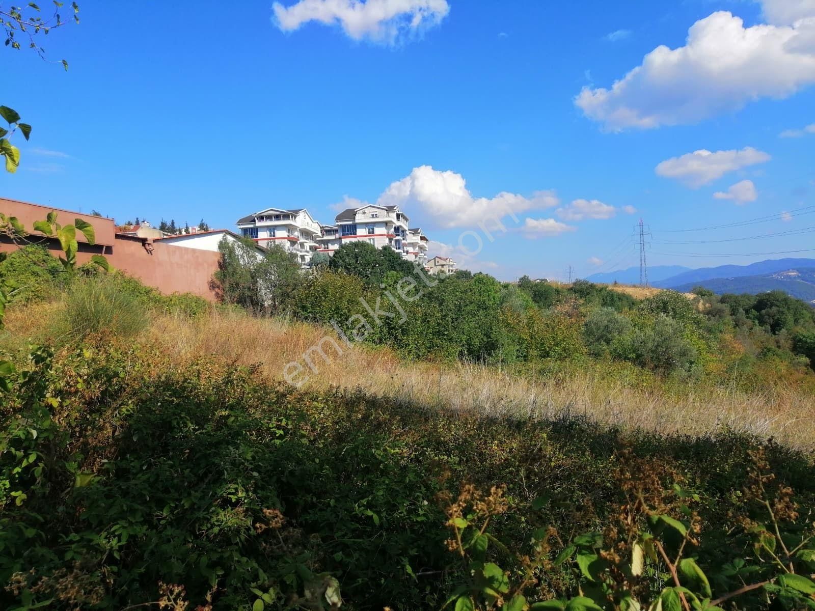 Şirinköy'de Satılık Arazi - Görsel 11