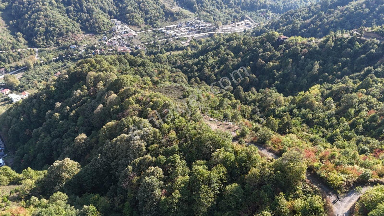 Gölcük Sivritepe Mevkii'nde Deniz Manzaralı Arazi - Görsel 7
