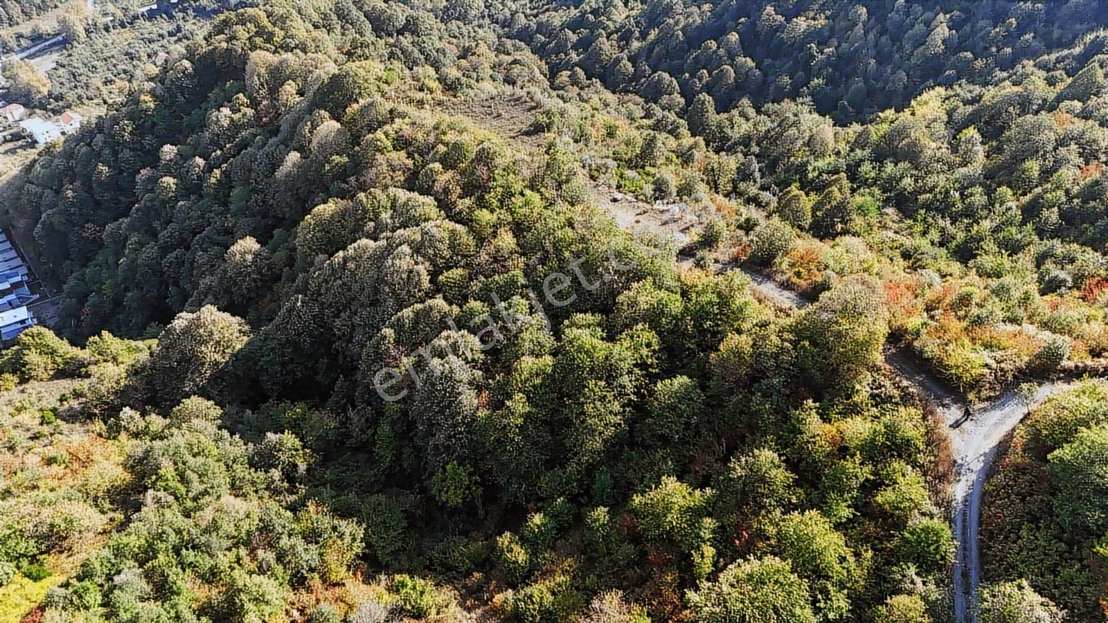 Gölcük Sivritepe Mevkii'nde Deniz Manzaralı Arazi - Görsel 6