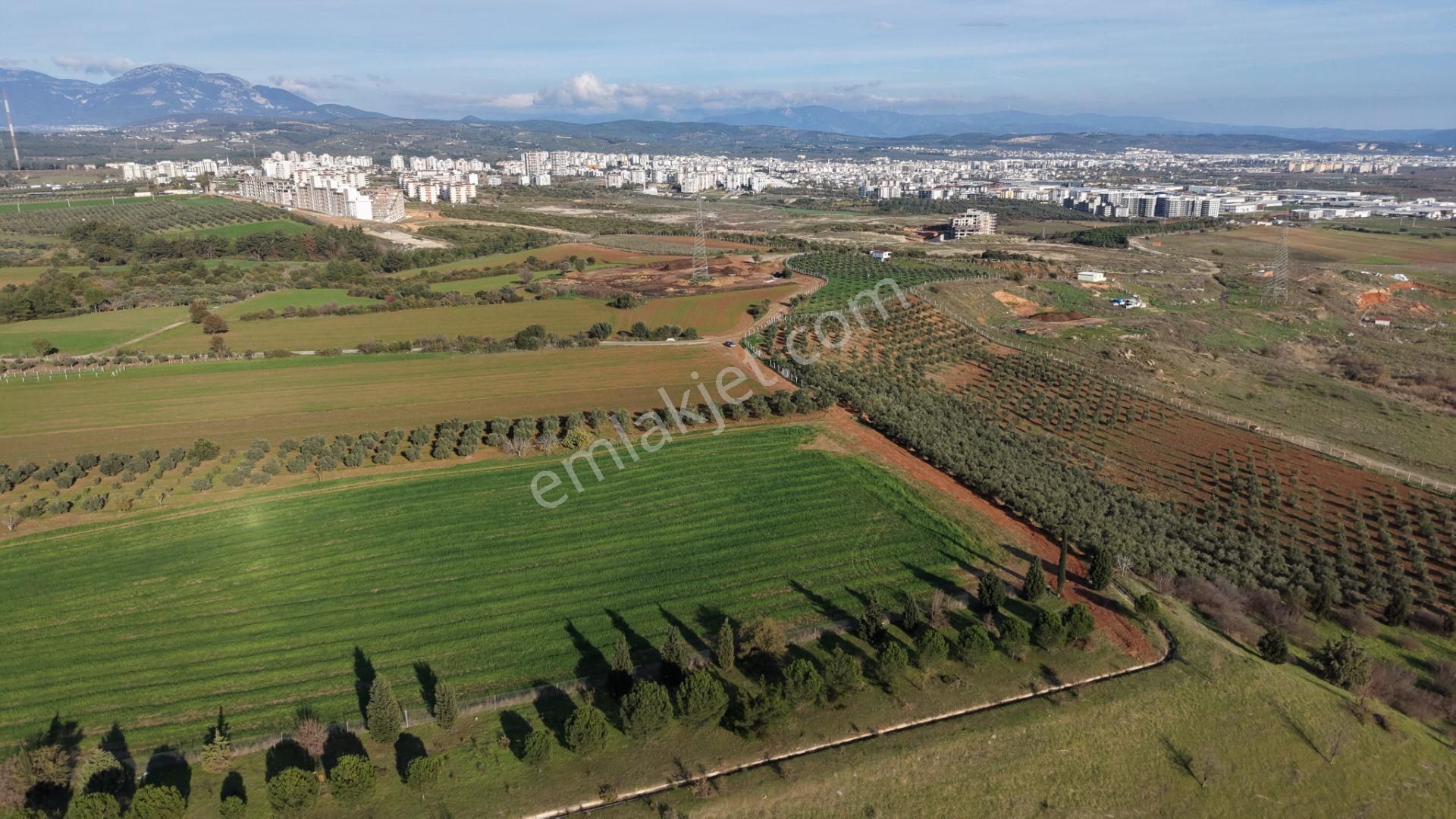 İzmir Havaalanına Ve İmara Yakın Satılık Tektapu 1.400 M2 Yatırımlık Arazi - Görsel 6