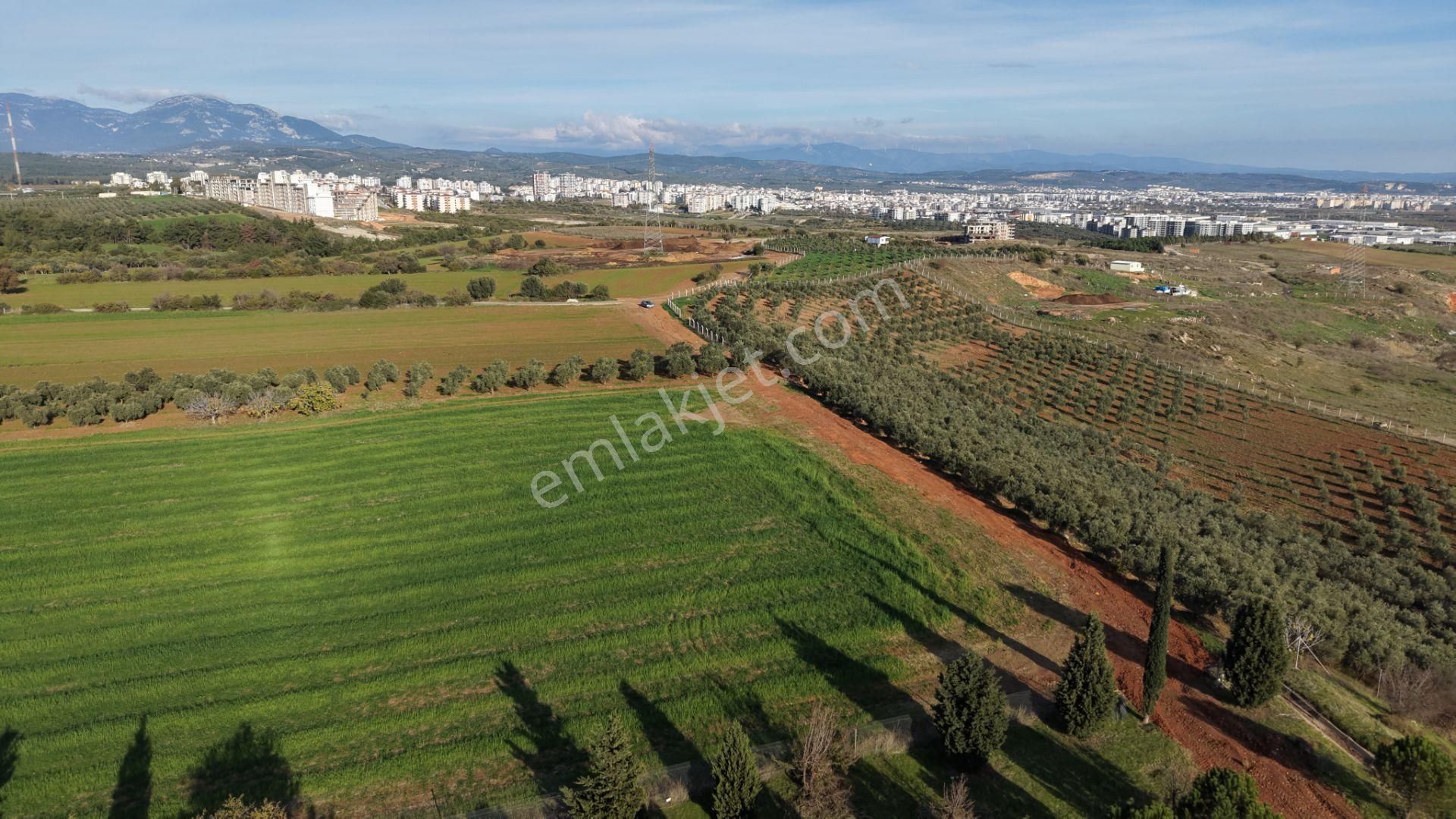 İzmir Havaalanına Ve İmara Yakın Satılık Tektapu 1.400 M2 Yatırımlık Arazi - Görsel 12