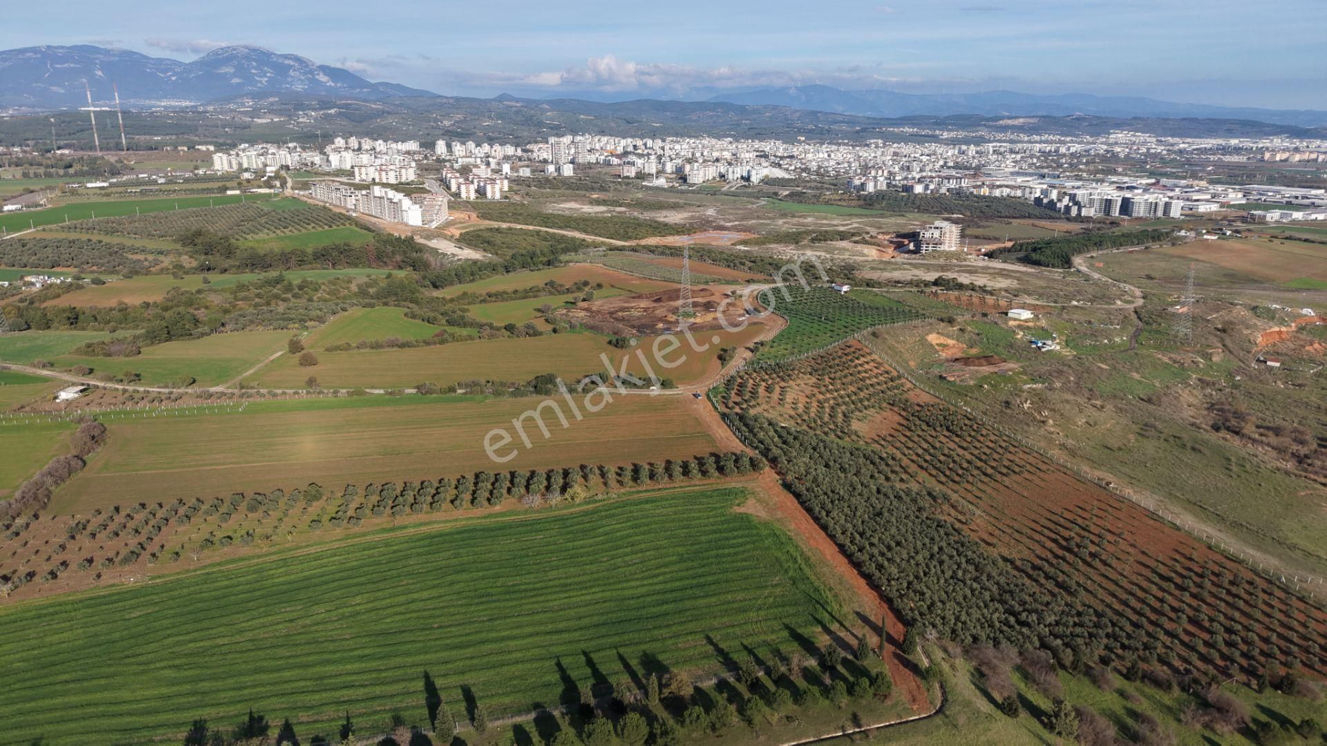 İzmir Havaalanına Ve İmara Yakın Satılık Tektapu 1.400 M2 Yatırımlık Arazi - Görsel 8
