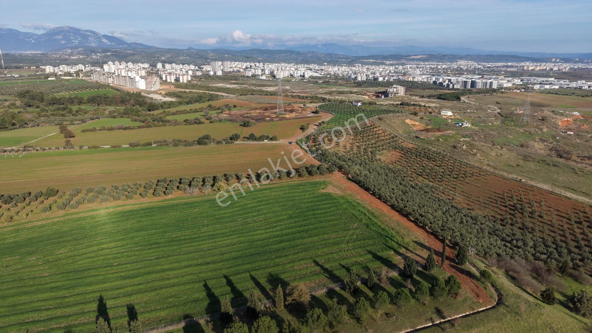 İzmir Havaalanına Ve İmara Yakın Satılık Tektapu 1.400 M2 Yatırımlık Arazi - Görsel 7